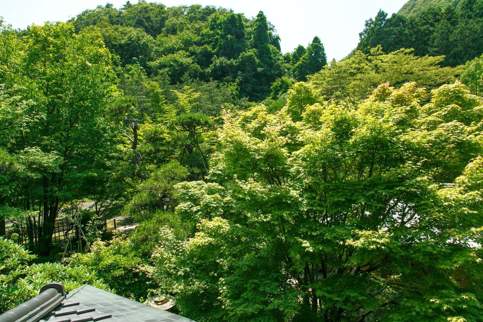Garden in Shaga-no-Sato Yumeya