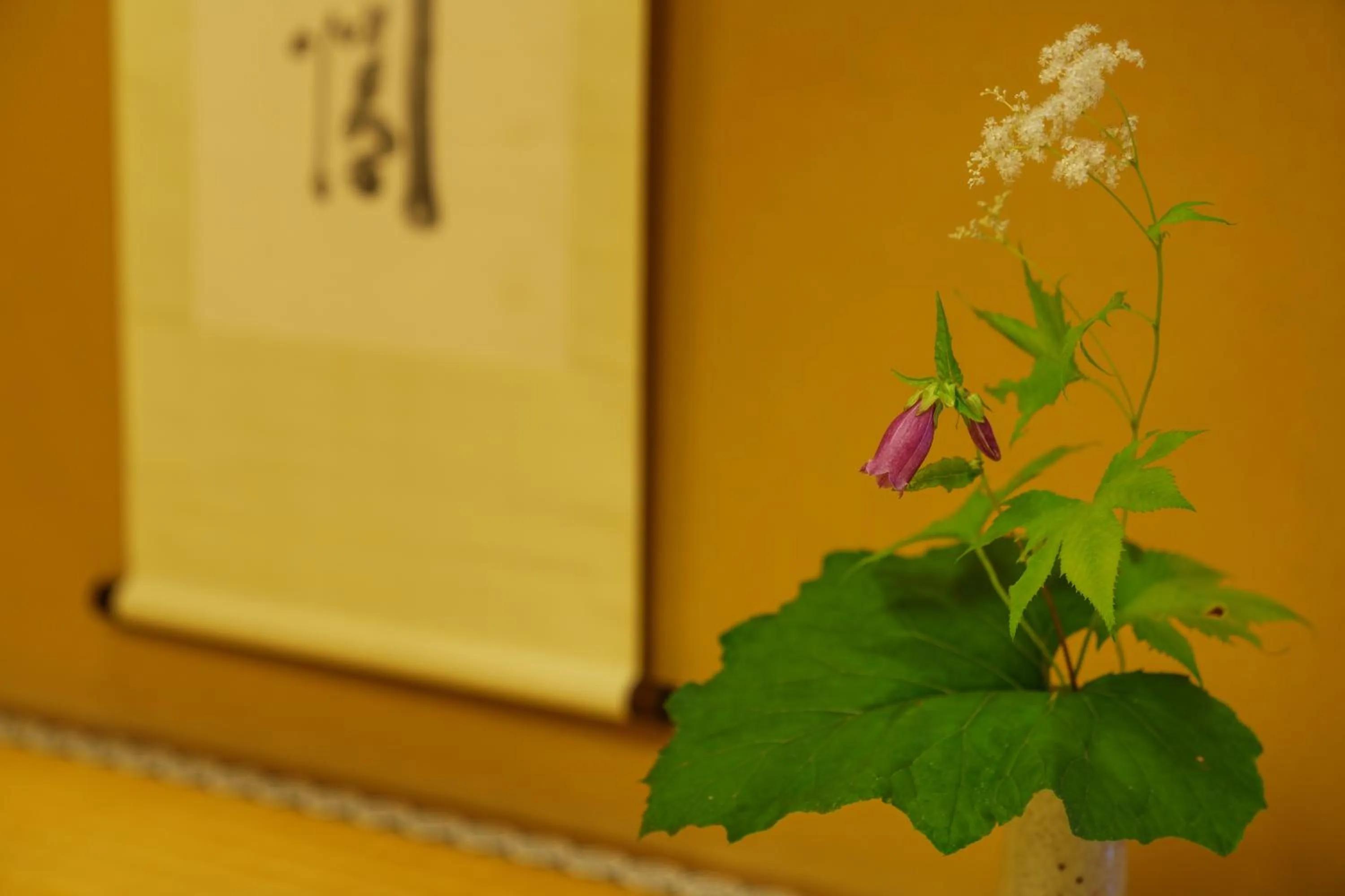 Lobby or reception in Shaga-no-Sato Yumeya