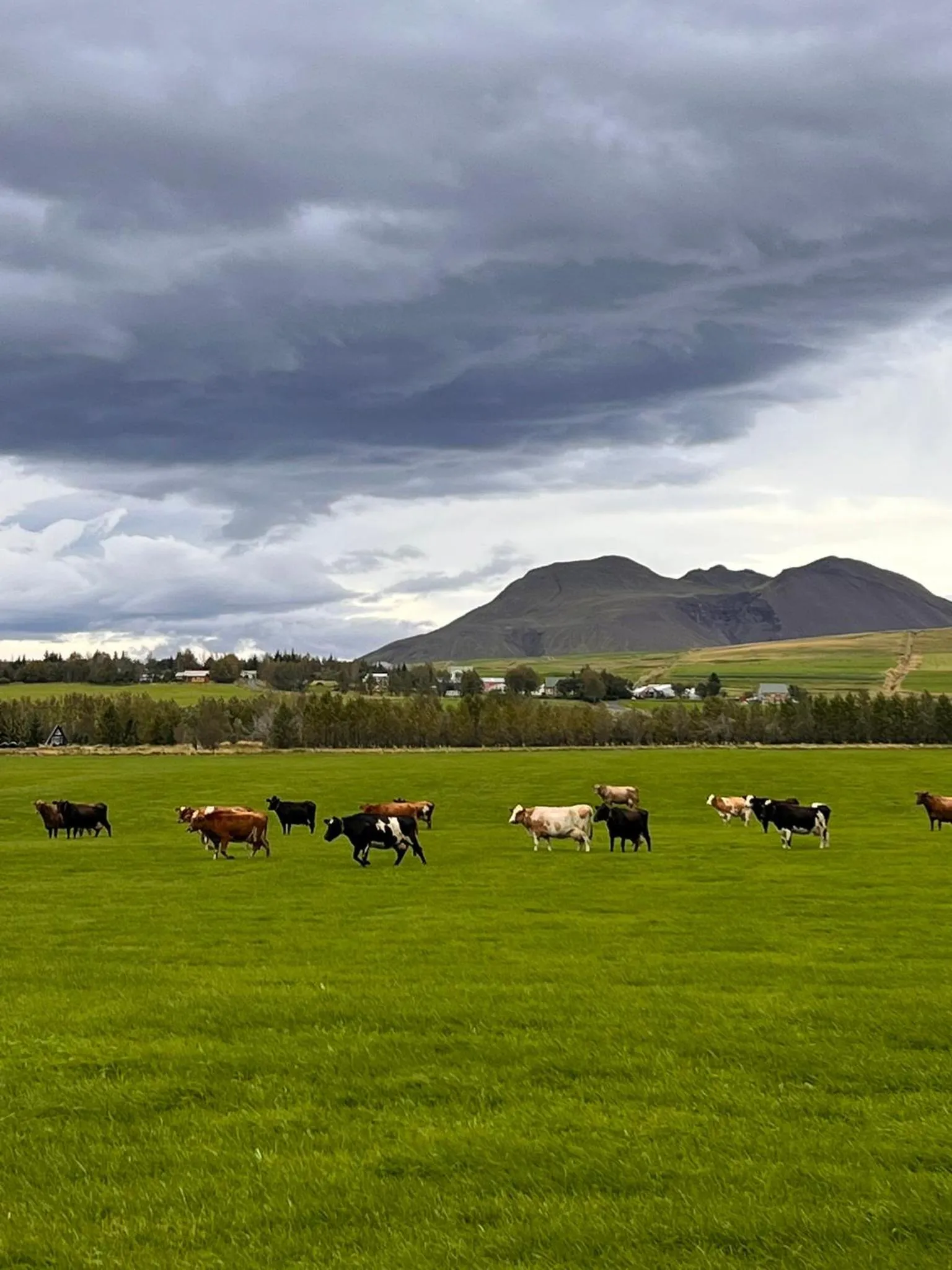 Other in Hellisholar Cottages