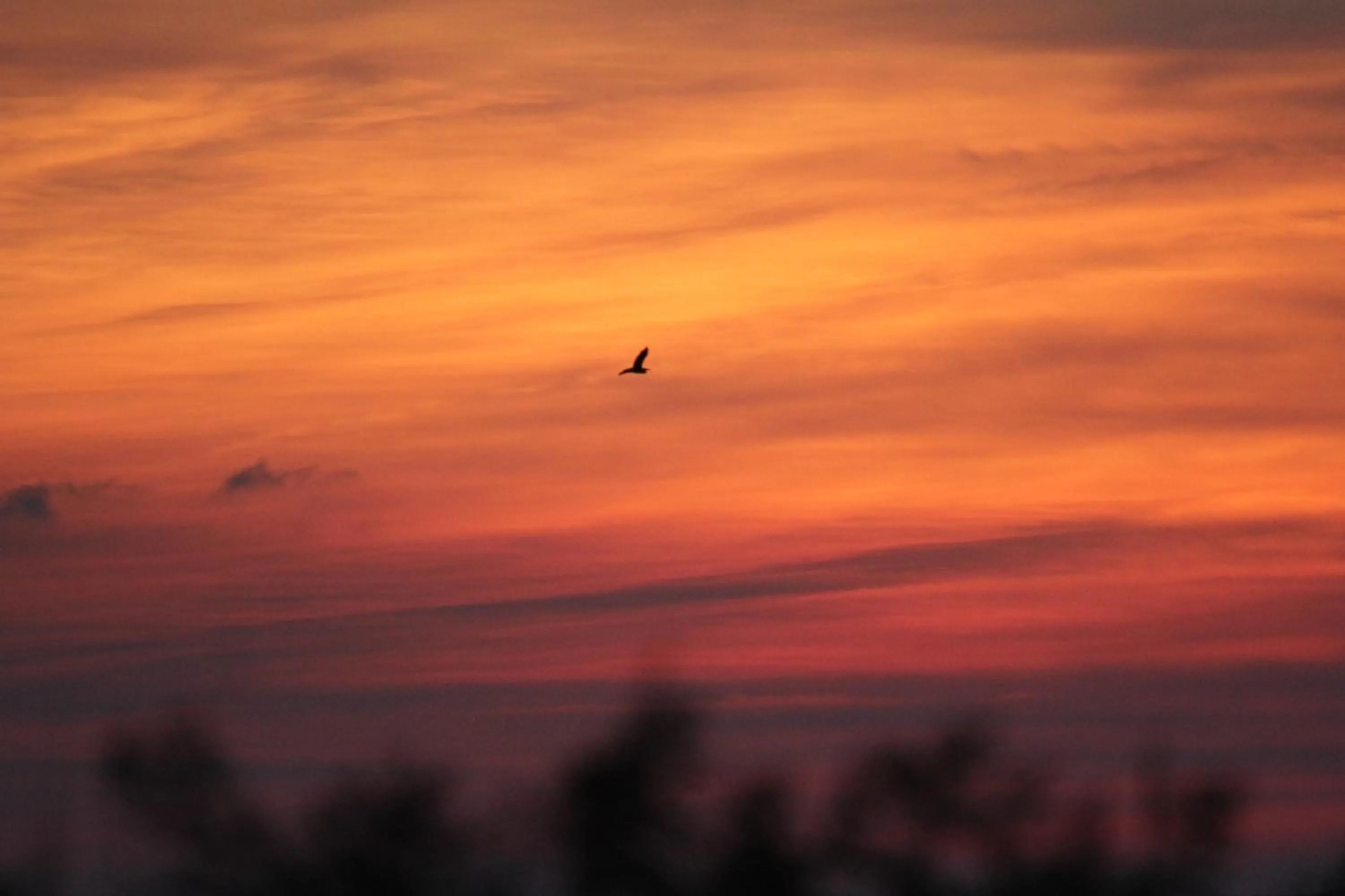 Sunset in Hotel Haus Kranich