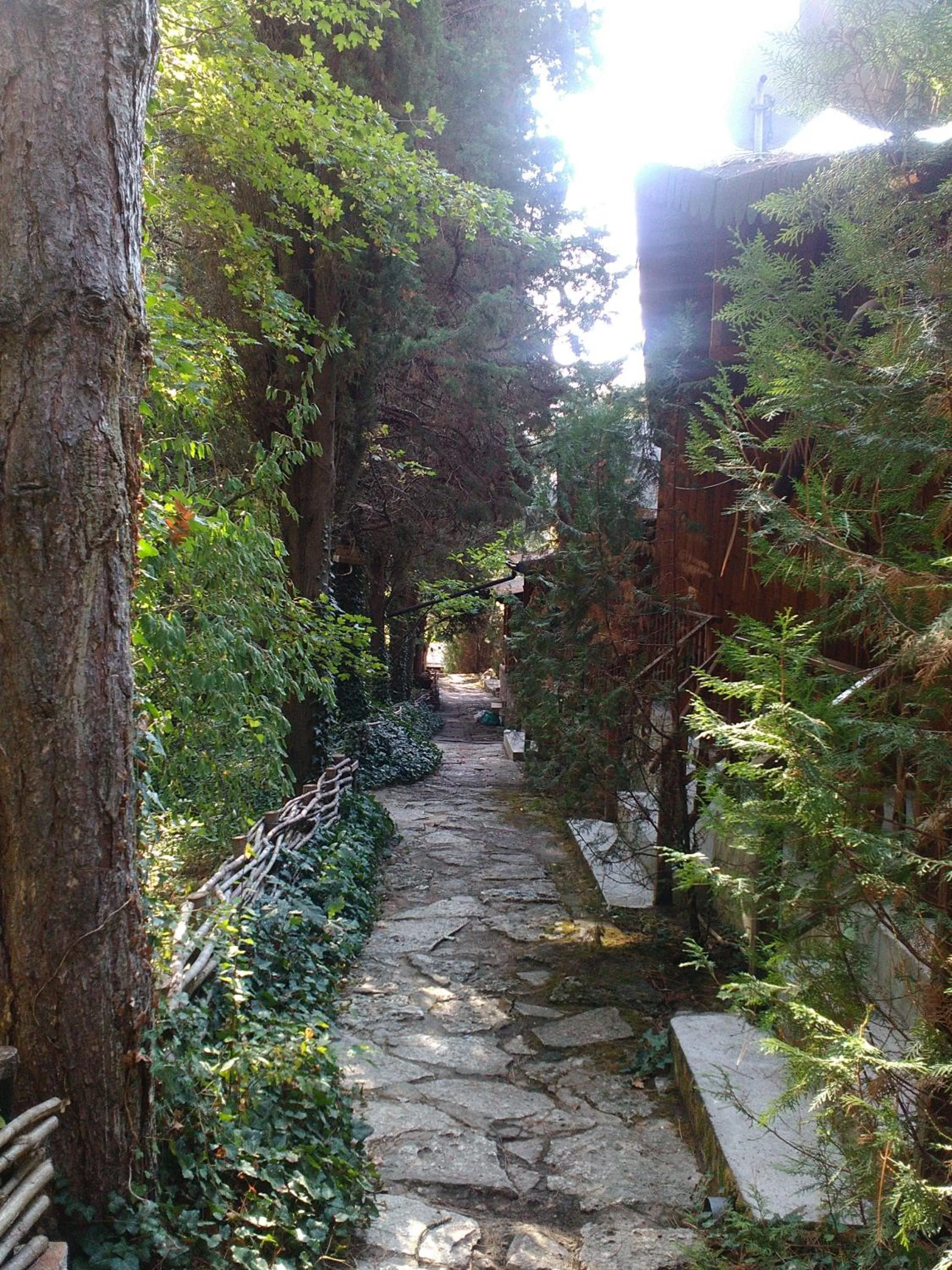 Garden in Nimpha Bungalows