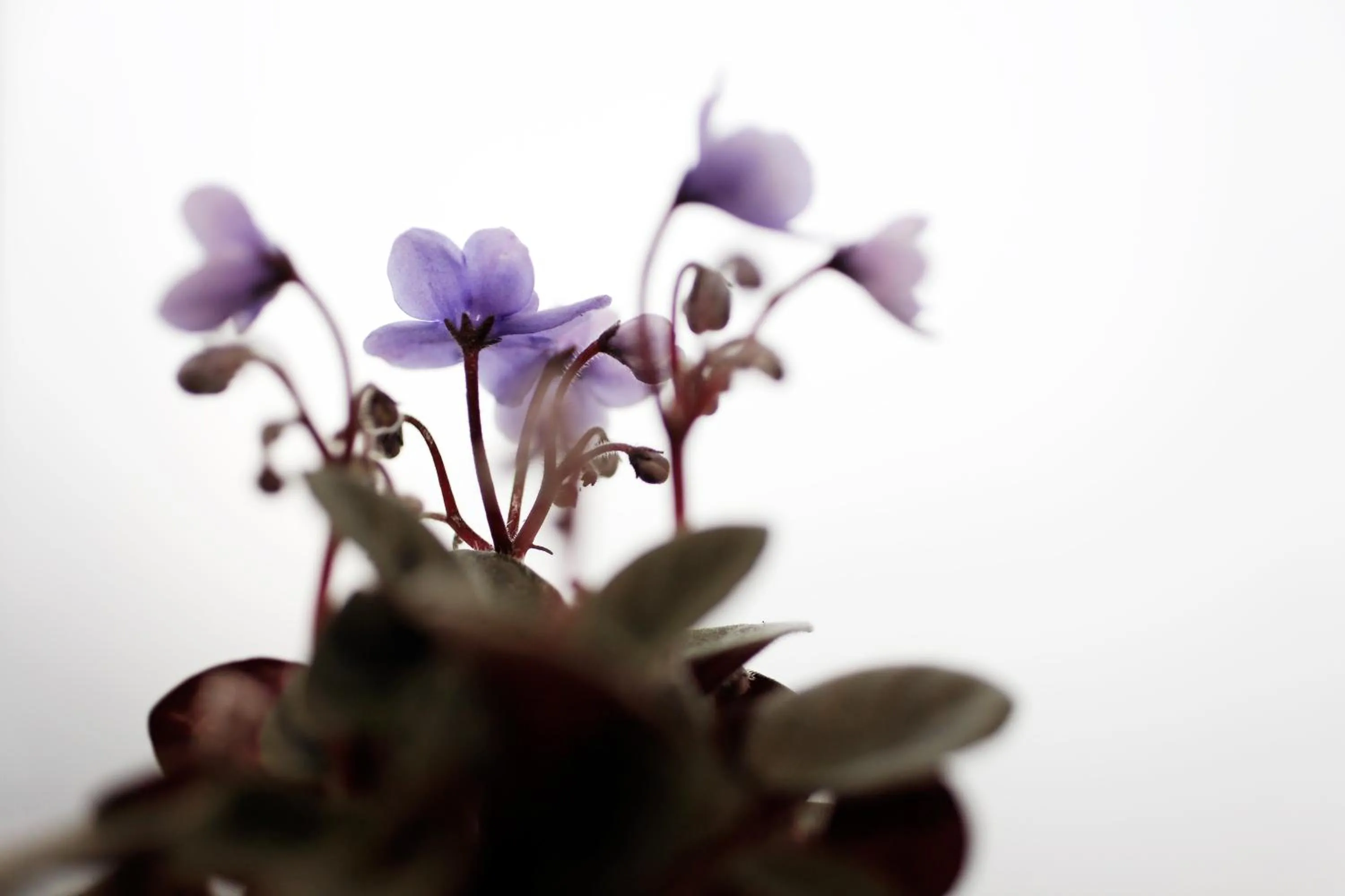 Decorative detail in Hotel La Manufacture