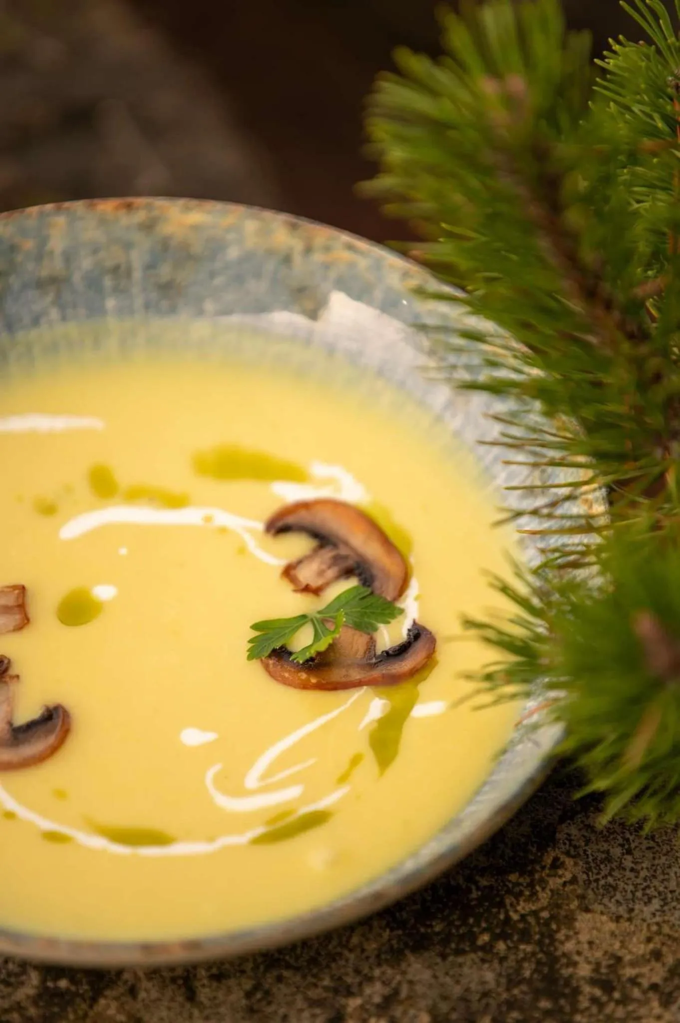 Food in Hotel & Restauracja Timberland