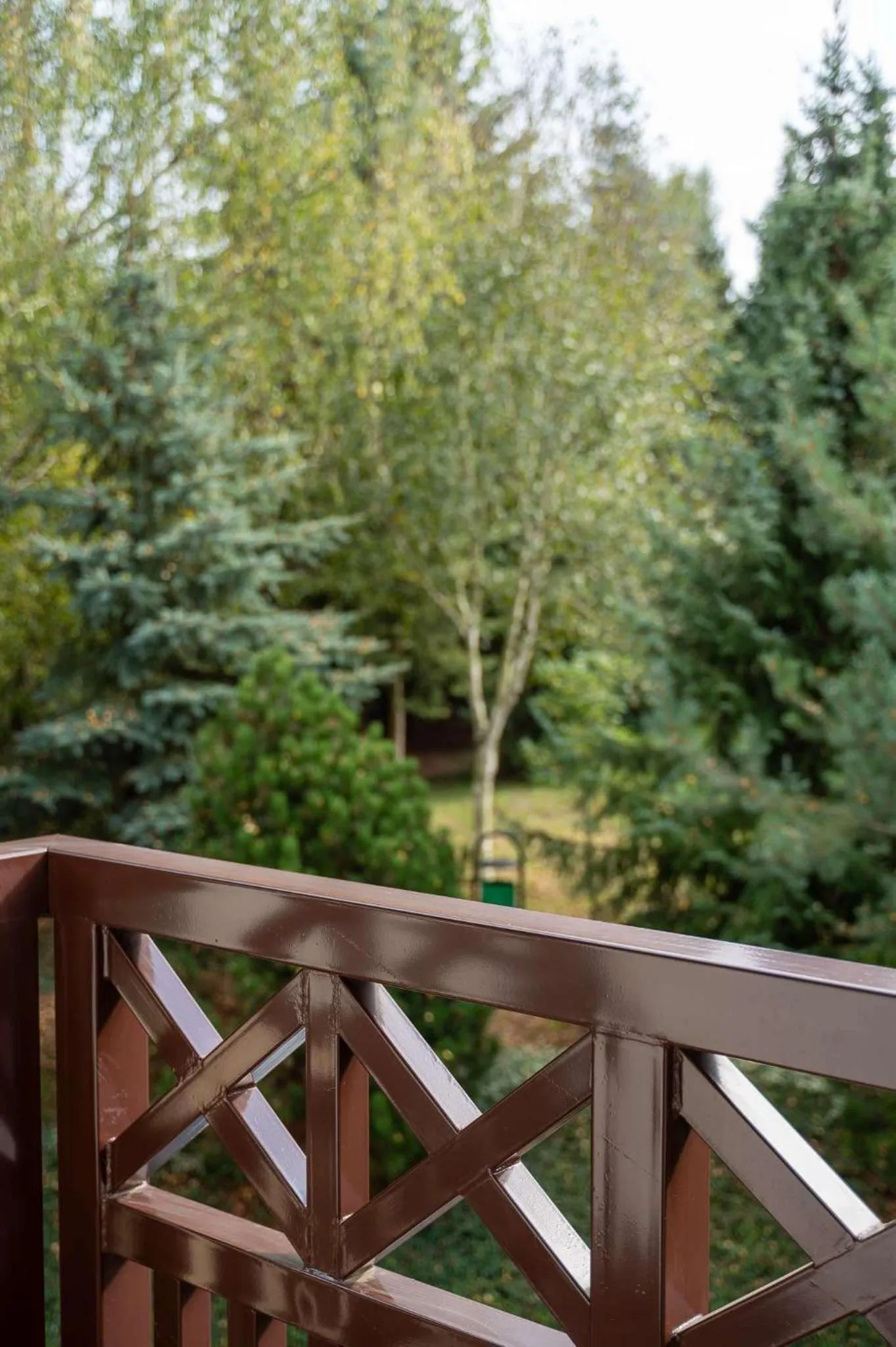 Natural landscape in Hotel & Restauracja Timberland