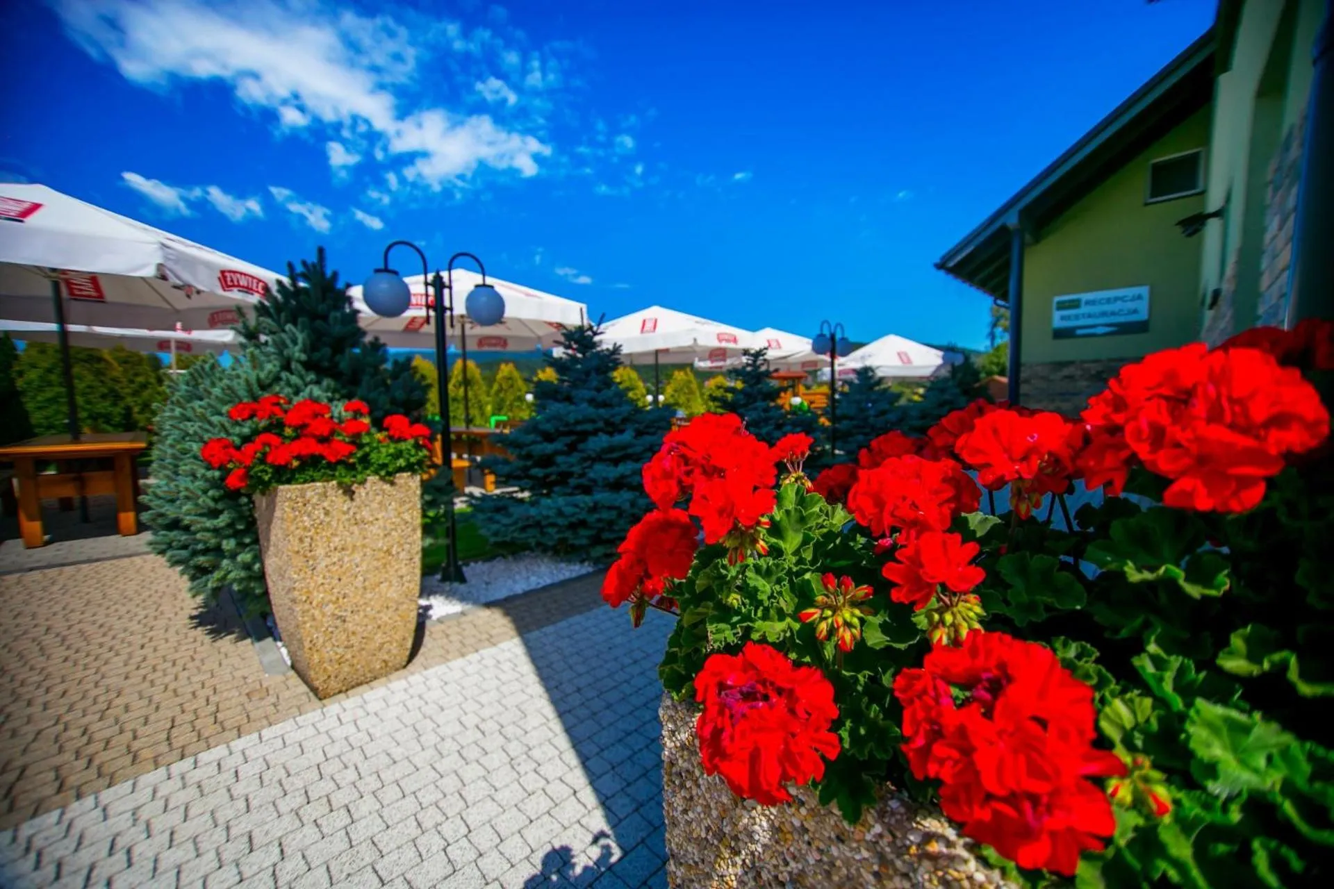 Other in Cubus-Beskidy