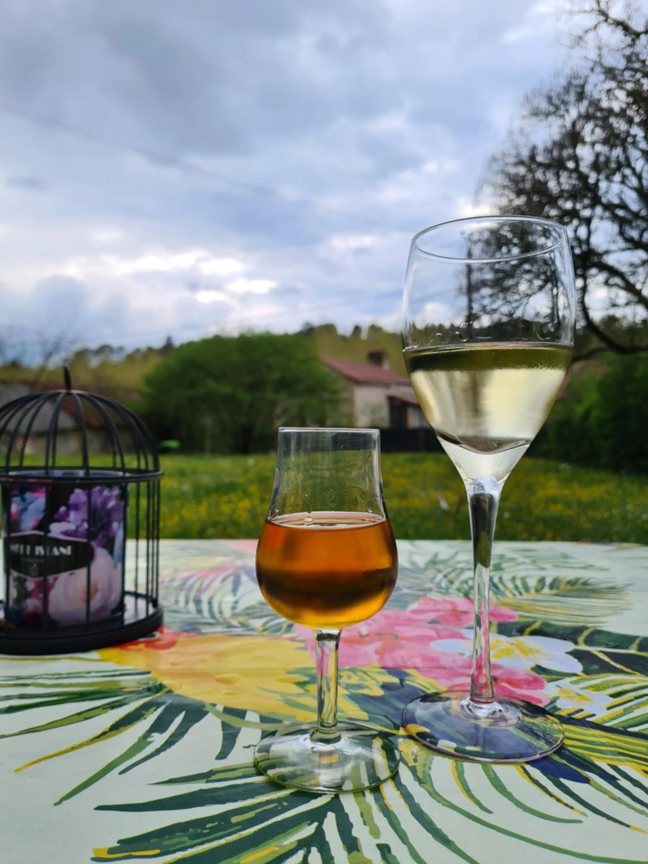 Food and drinks in La Perle De Frayssinet-Le-Gélat - Chambre d'Hôtes - B&B