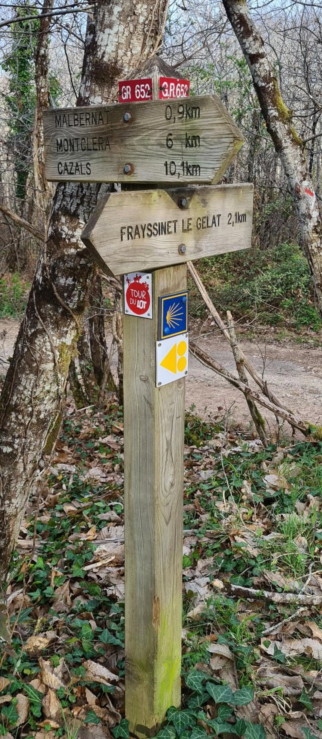 Natural landscape in La Perle De Frayssinet-Le-Gélat - Chambre d'Hôtes - B&B