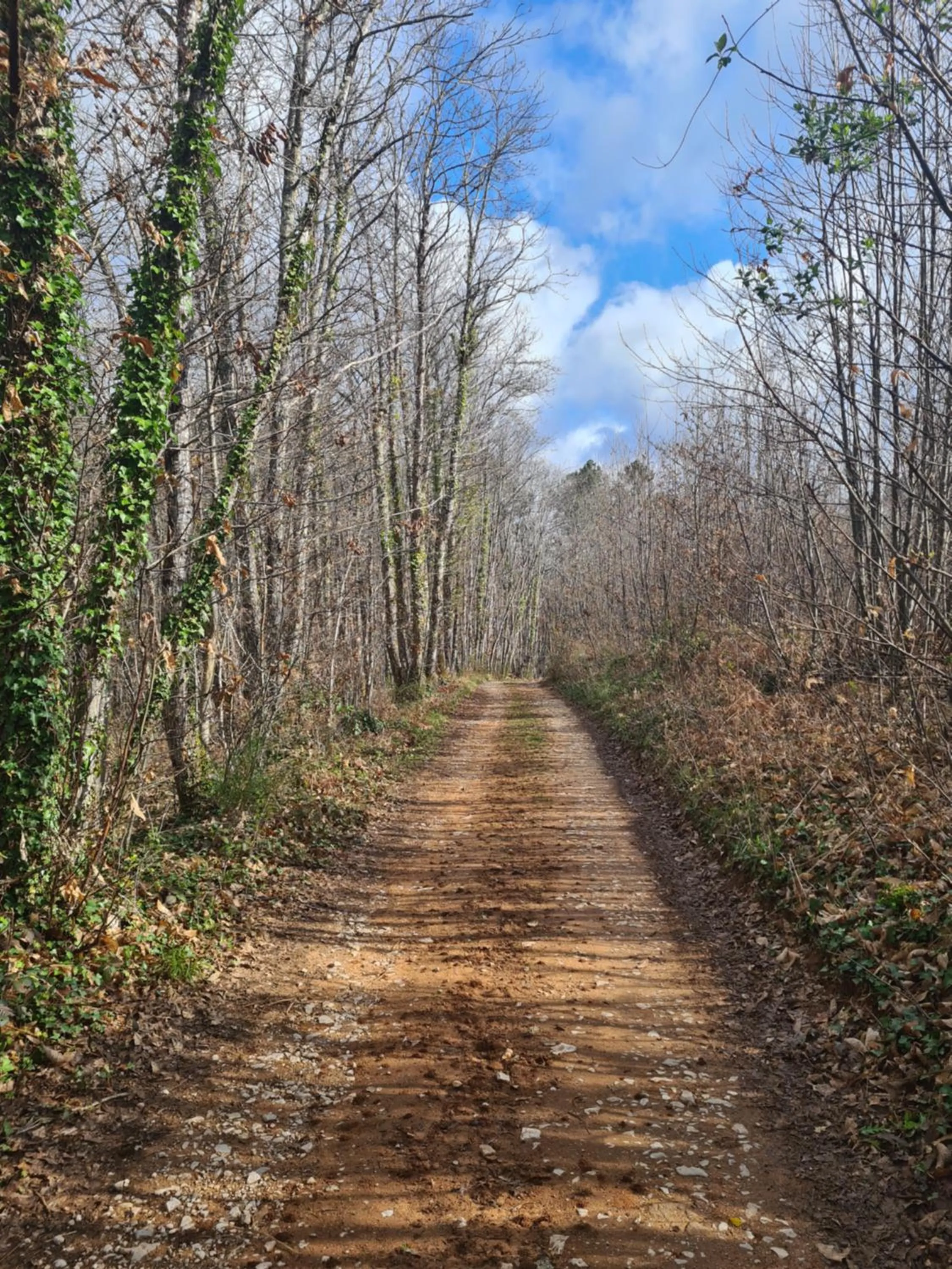 Natural landscape in La Perle De Frayssinet-Le-Gélat - Chambre d'Hôtes - B&B