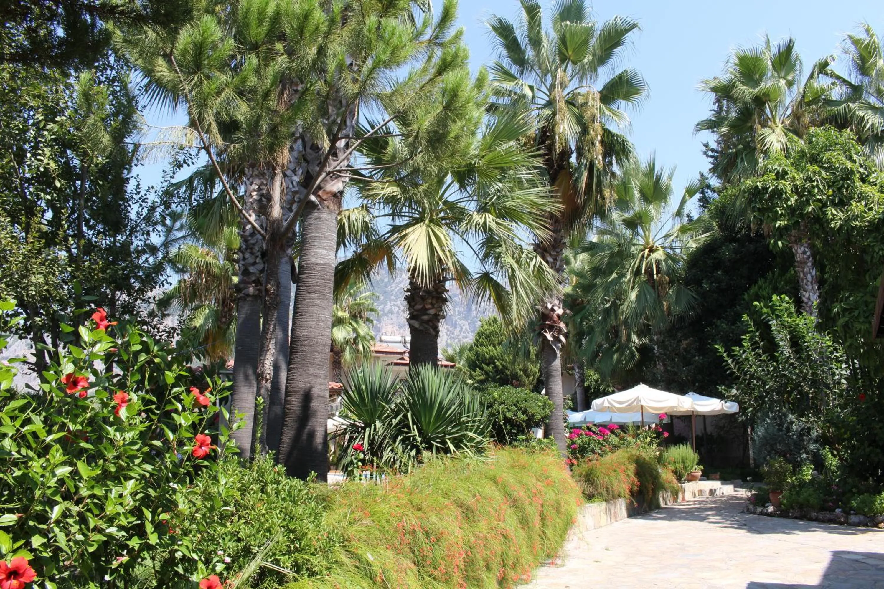 Facade/entrance in Nirvana Hotel