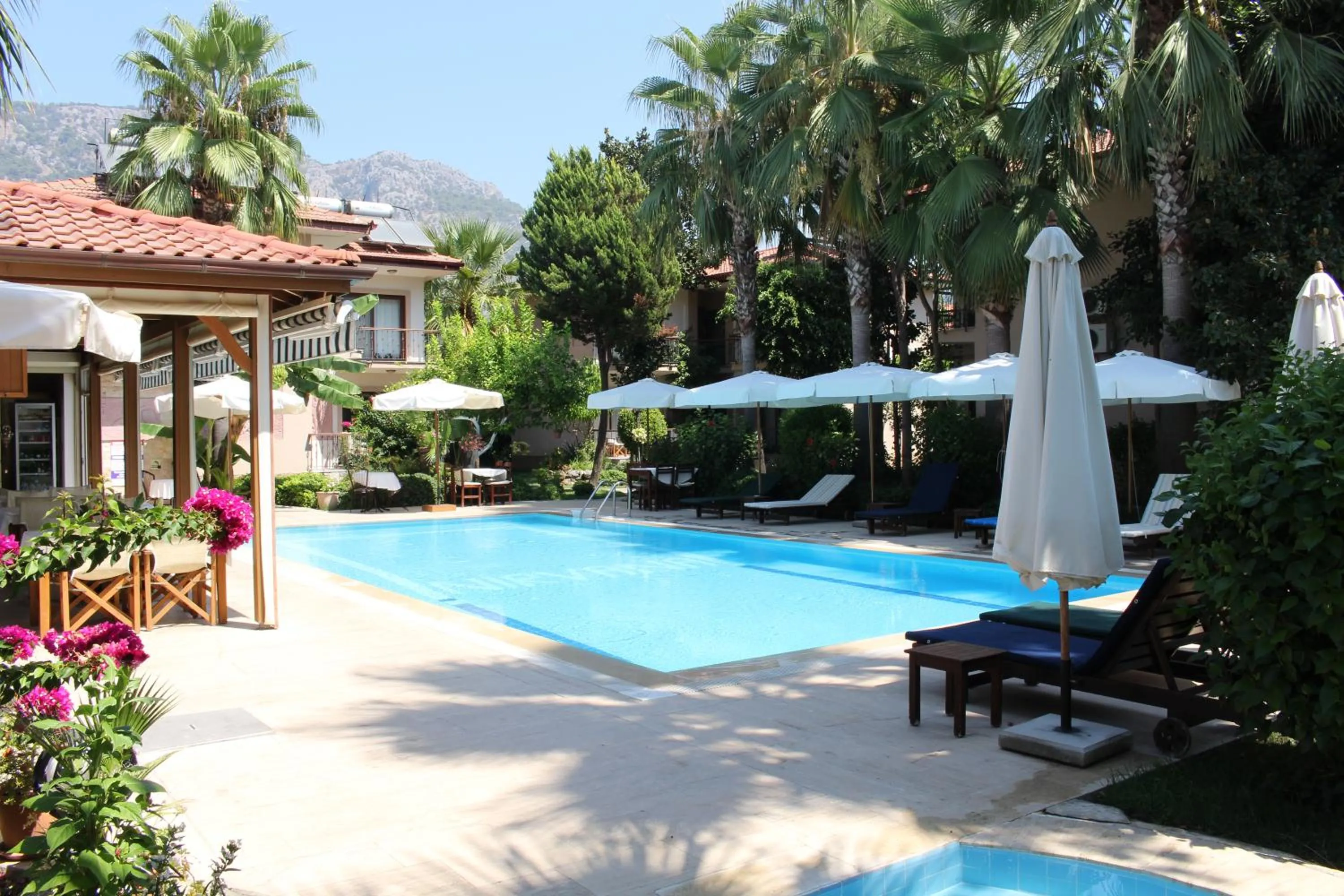 Pool view in Nirvana Hotel