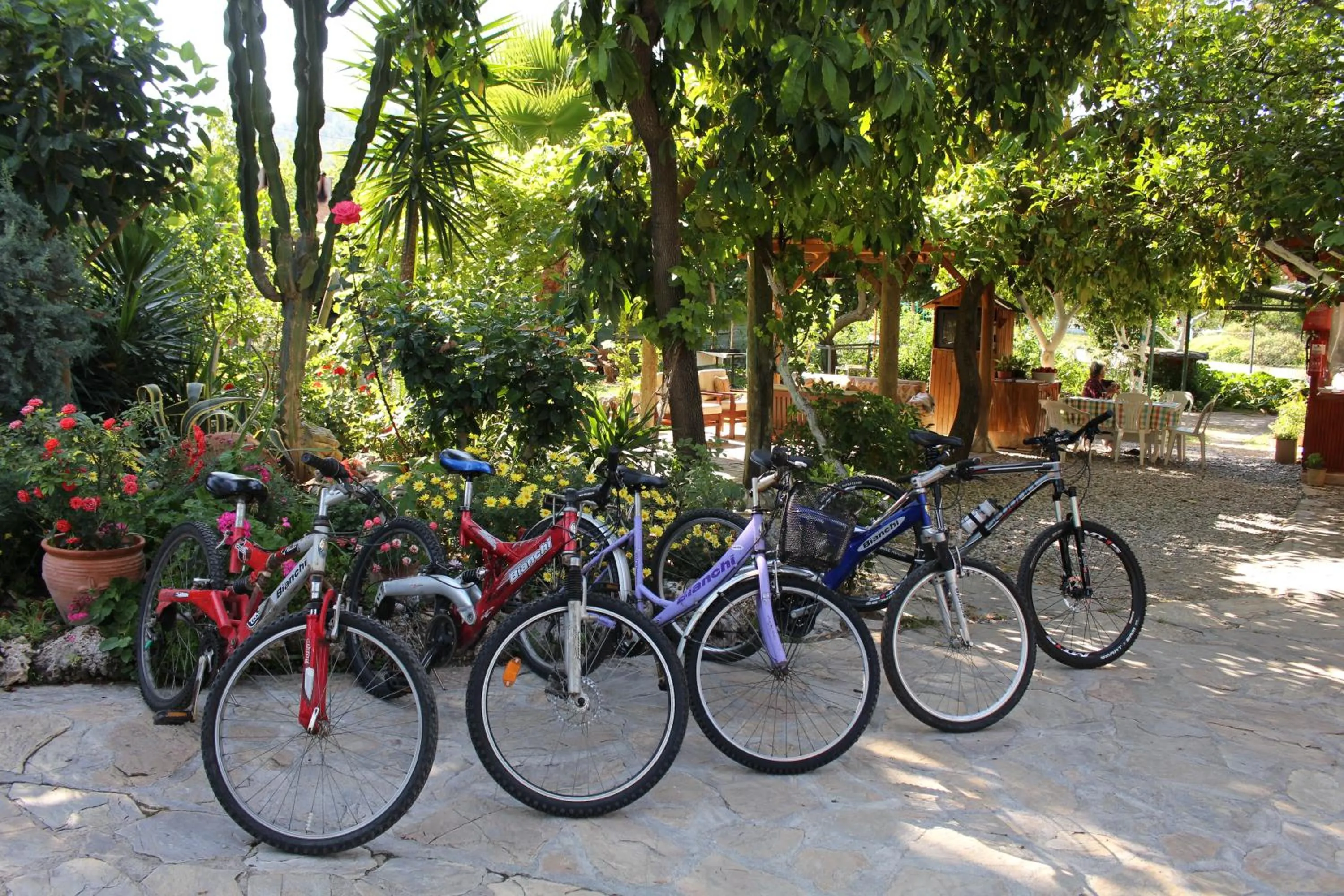 Cycling in Nirvana Hotel
