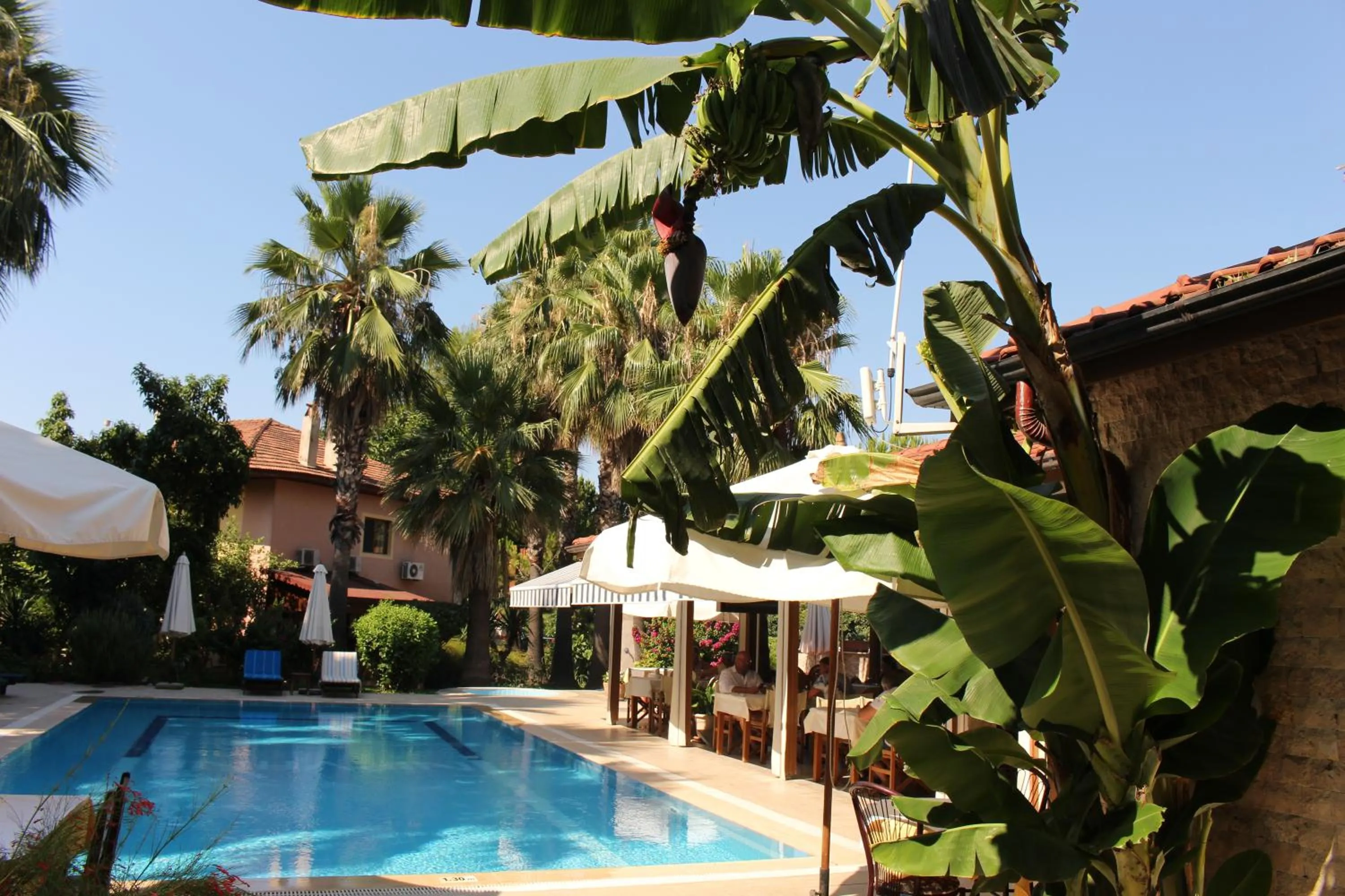 Pool view in Nirvana Hotel