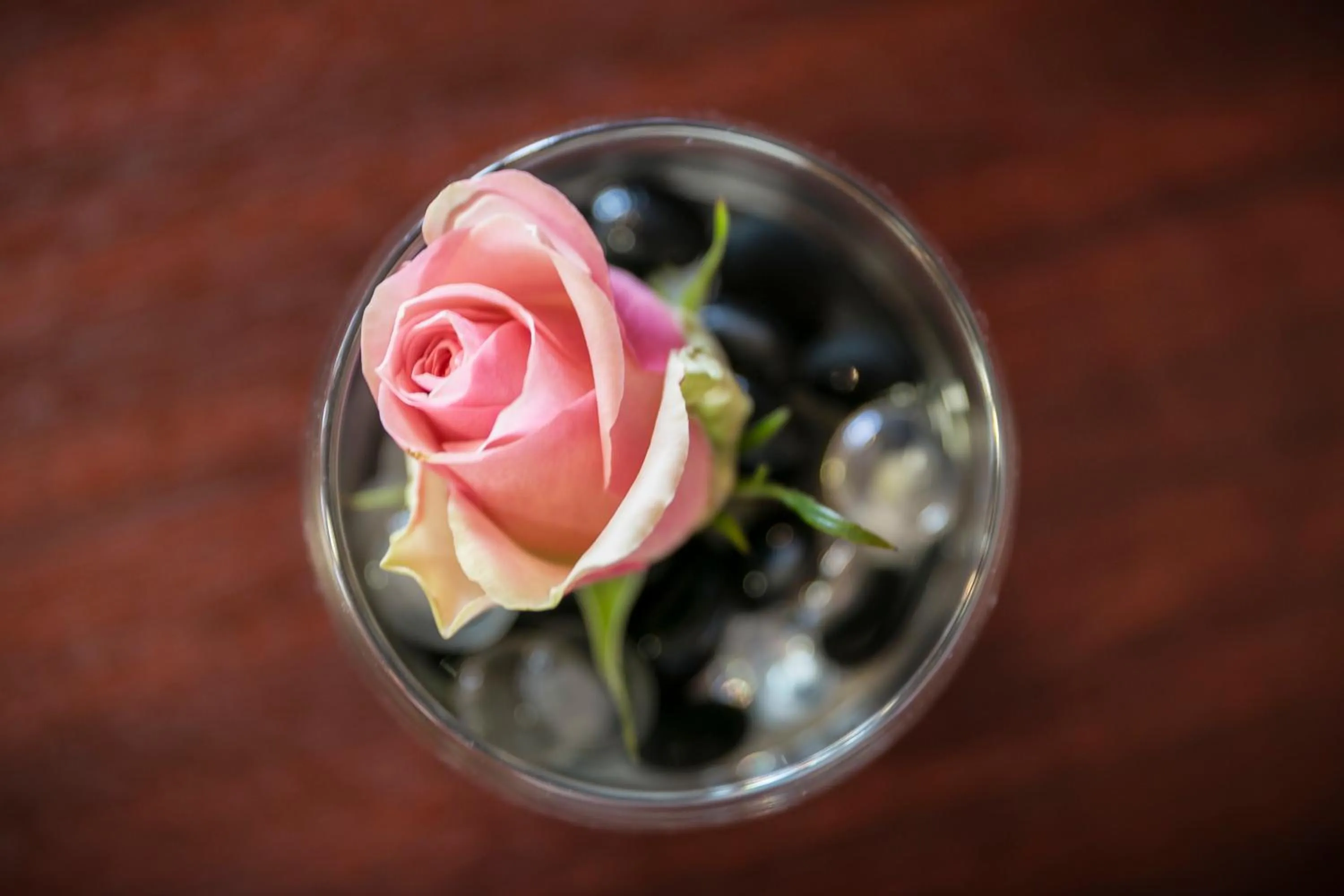 Brit Hotel Rennes Le Castel