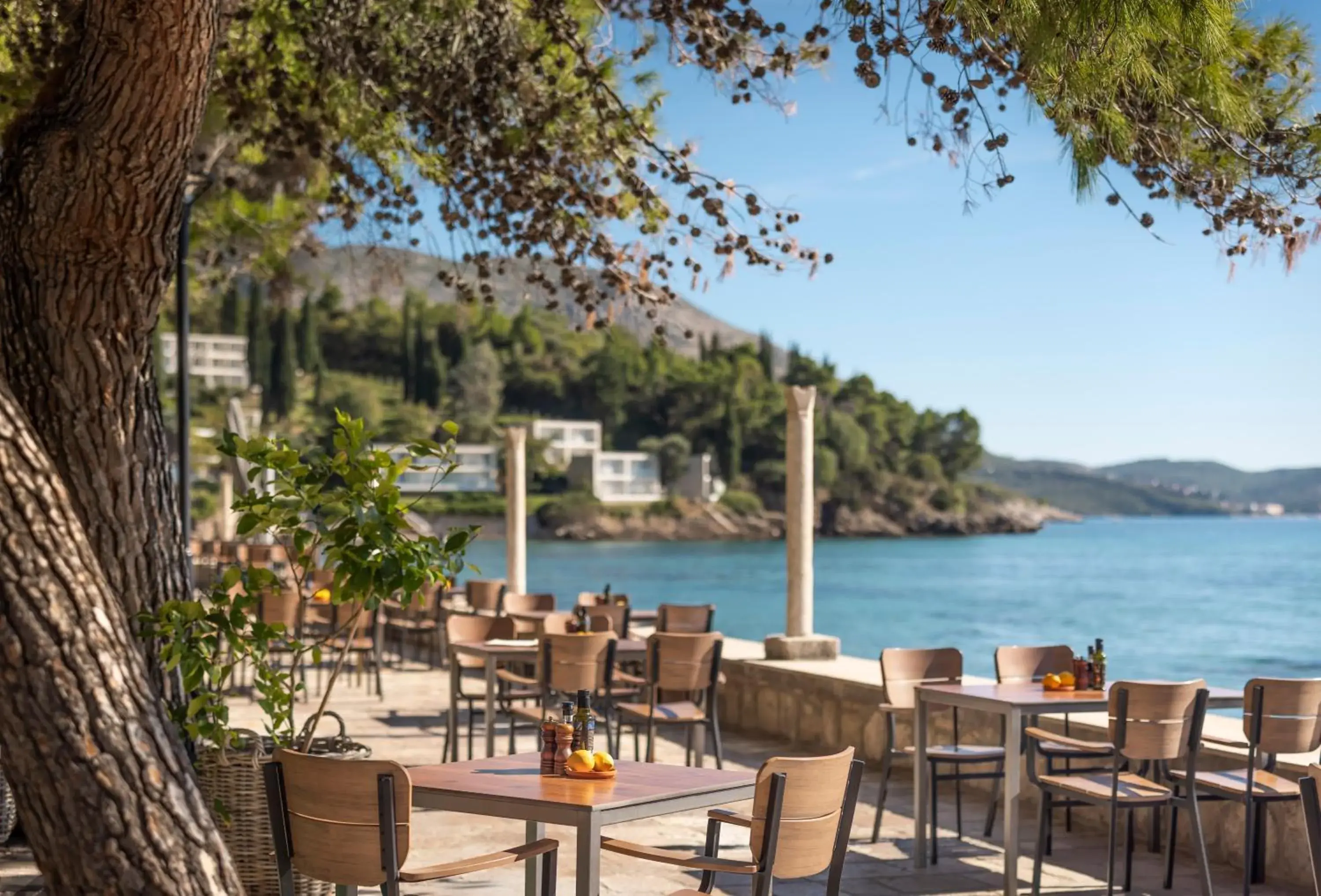 Restaurant/places to eat in Maistra Select Mlini Villas and Apartments Restaurant/places to eat in Maistra Select Mlini Villas and Apartments