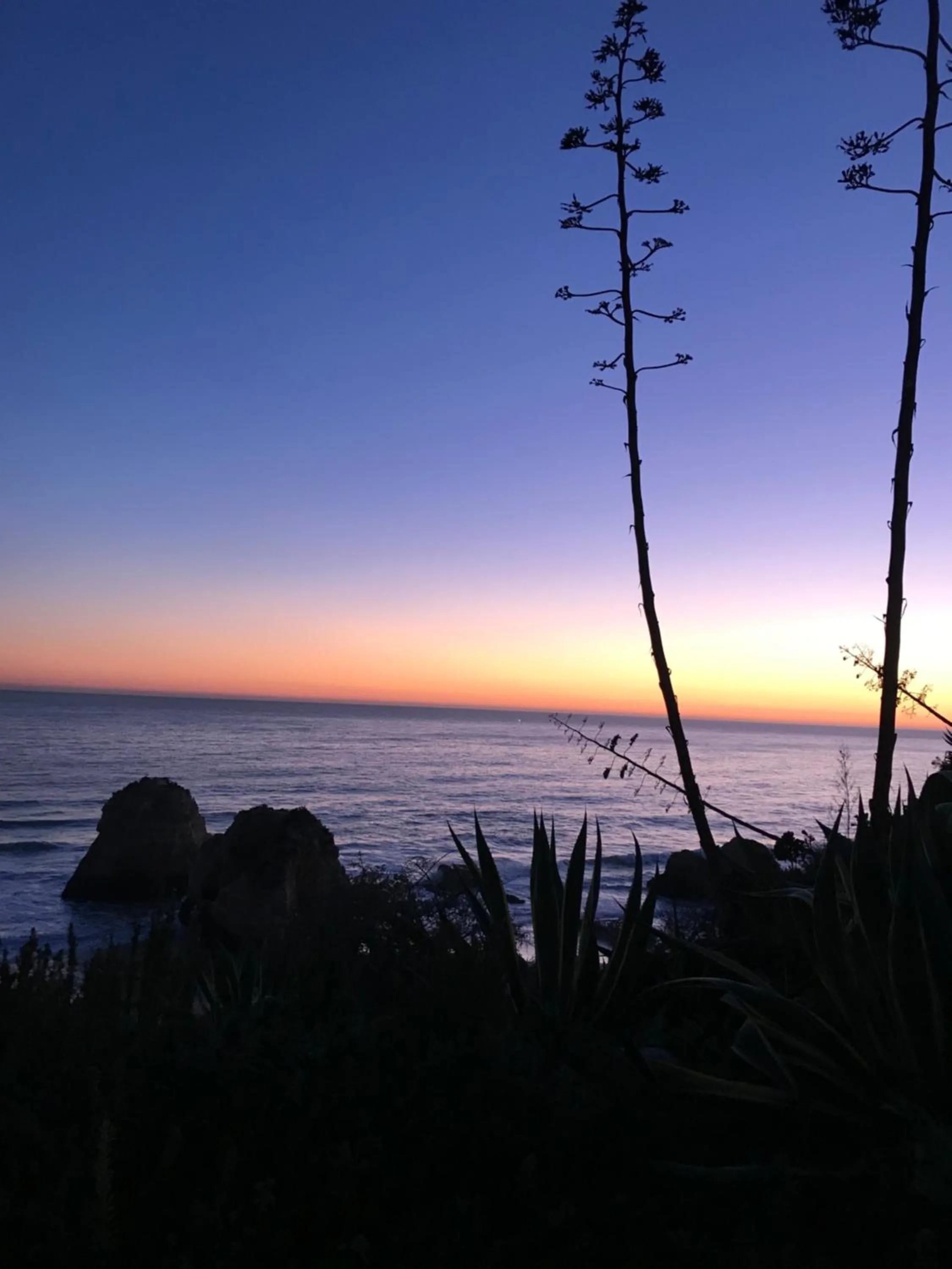 Sea view in Sol Mar