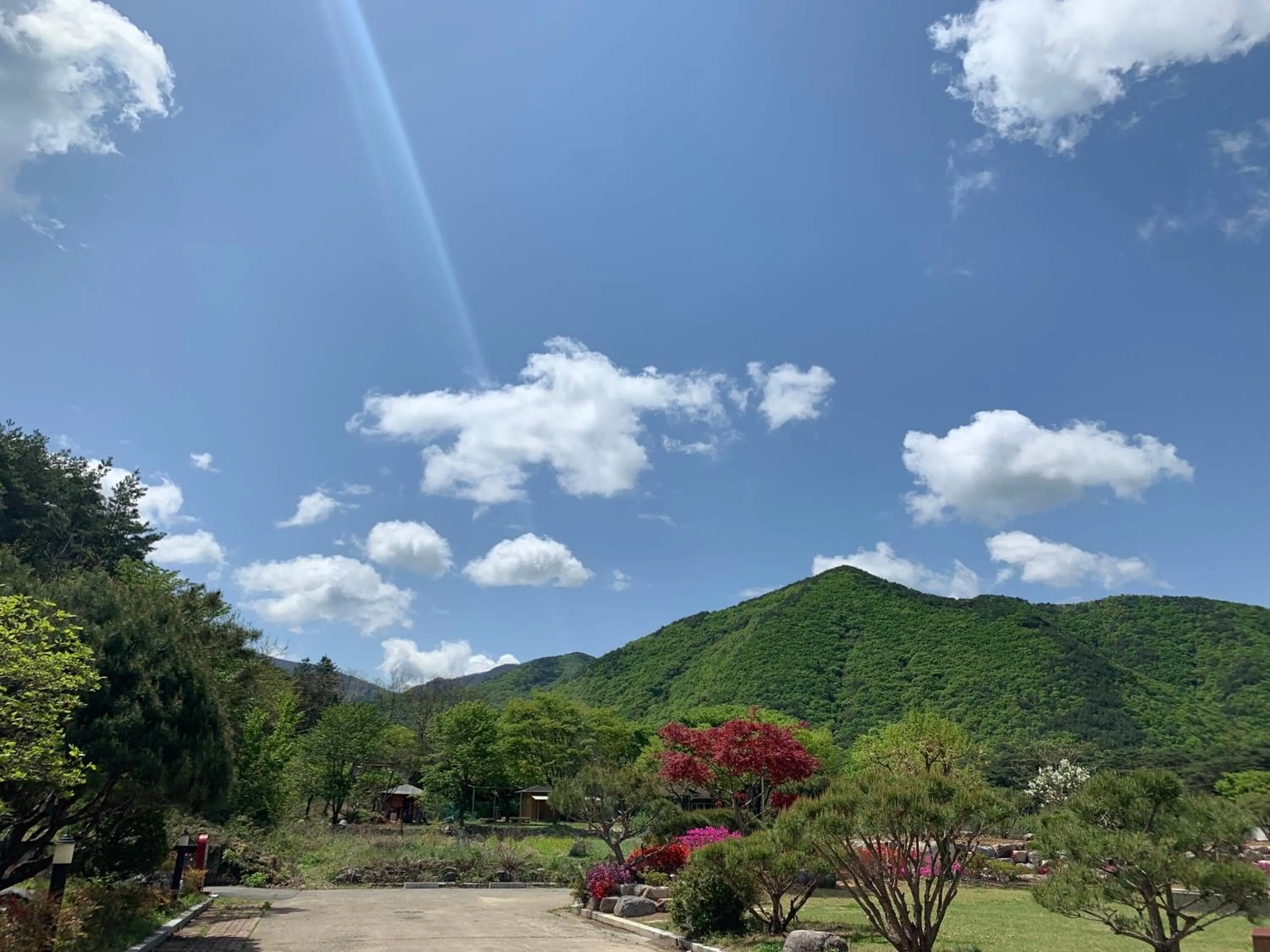 Natural landscape in Fresh Hill