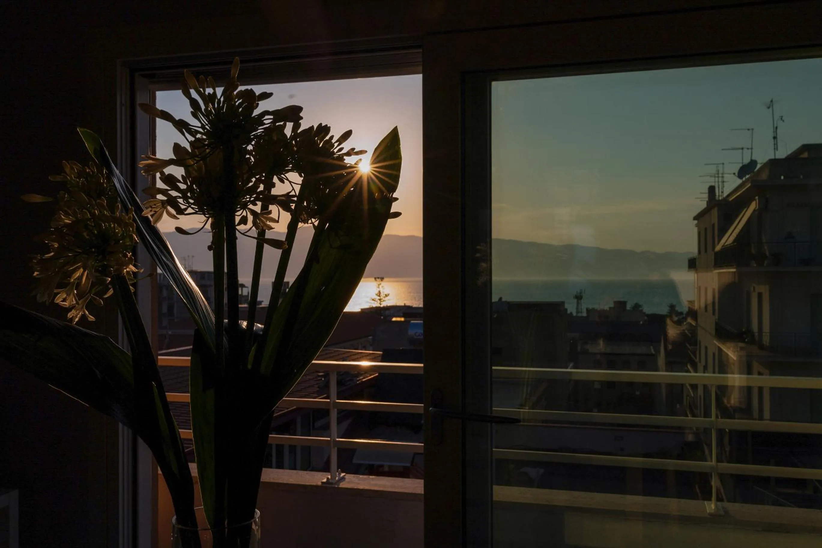 City view in B&B Pellicano Guest House