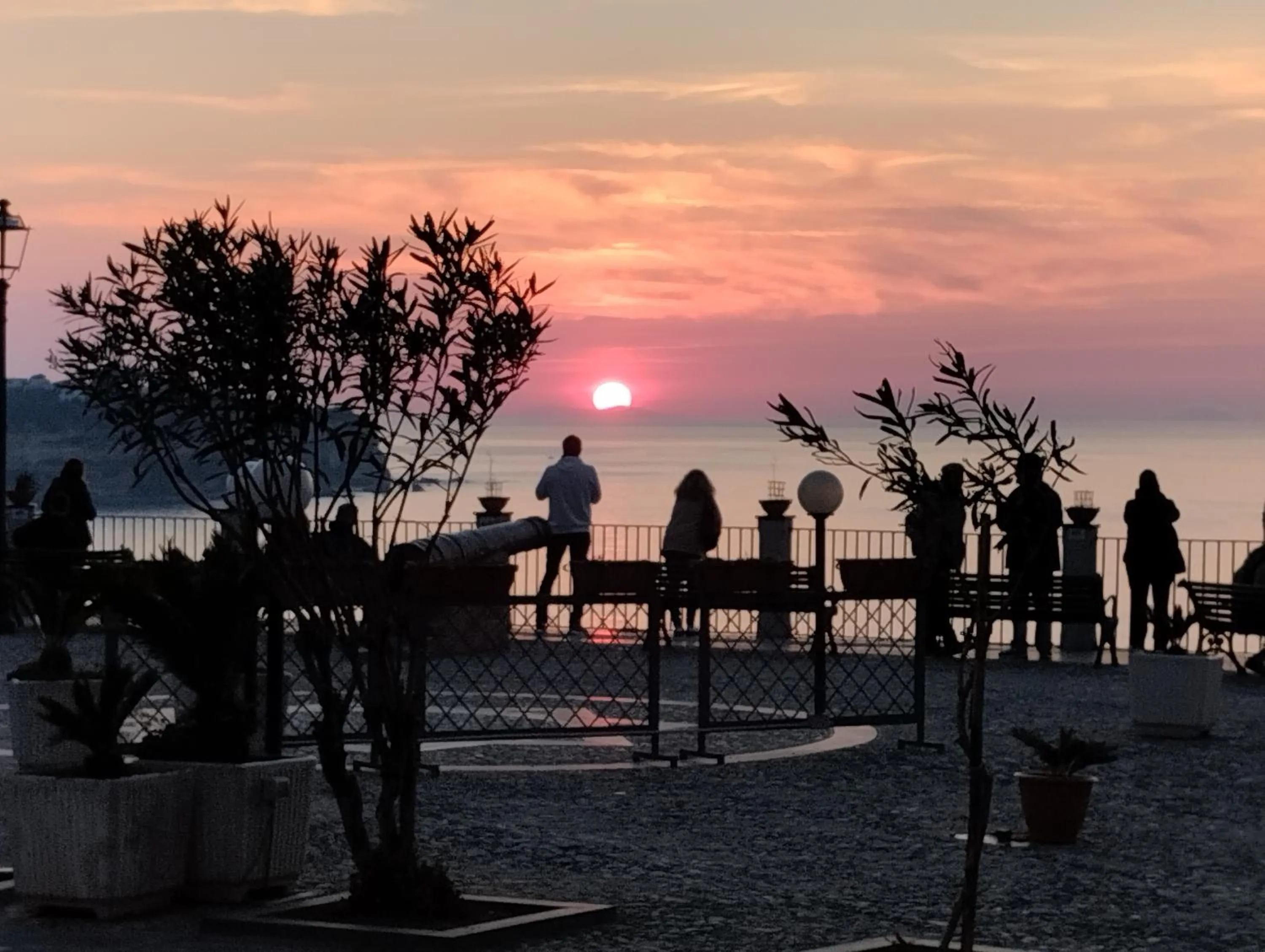Natural landscape in OLYMPUS ROOM