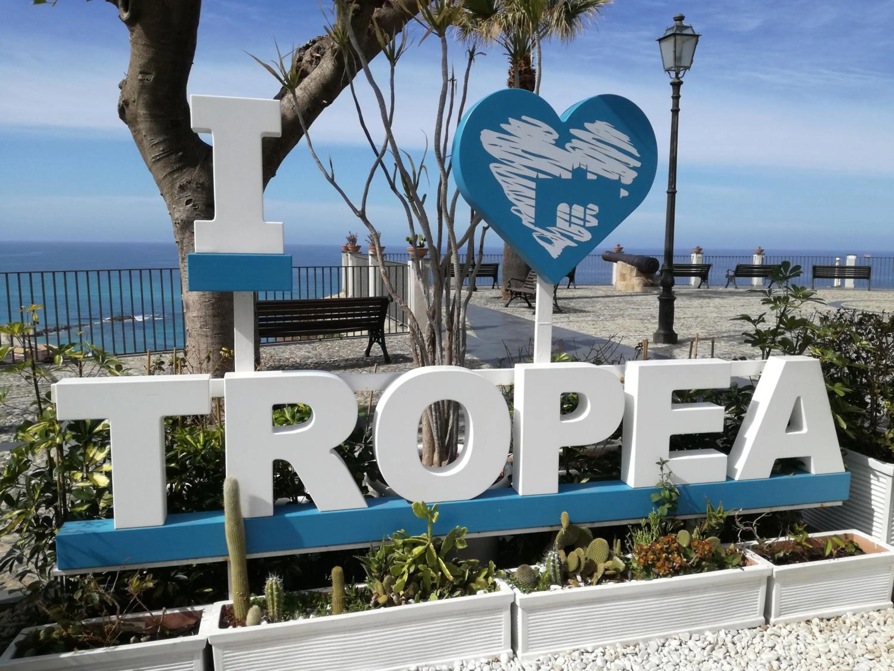 Neighbourhood in OLYMPUS ROOM