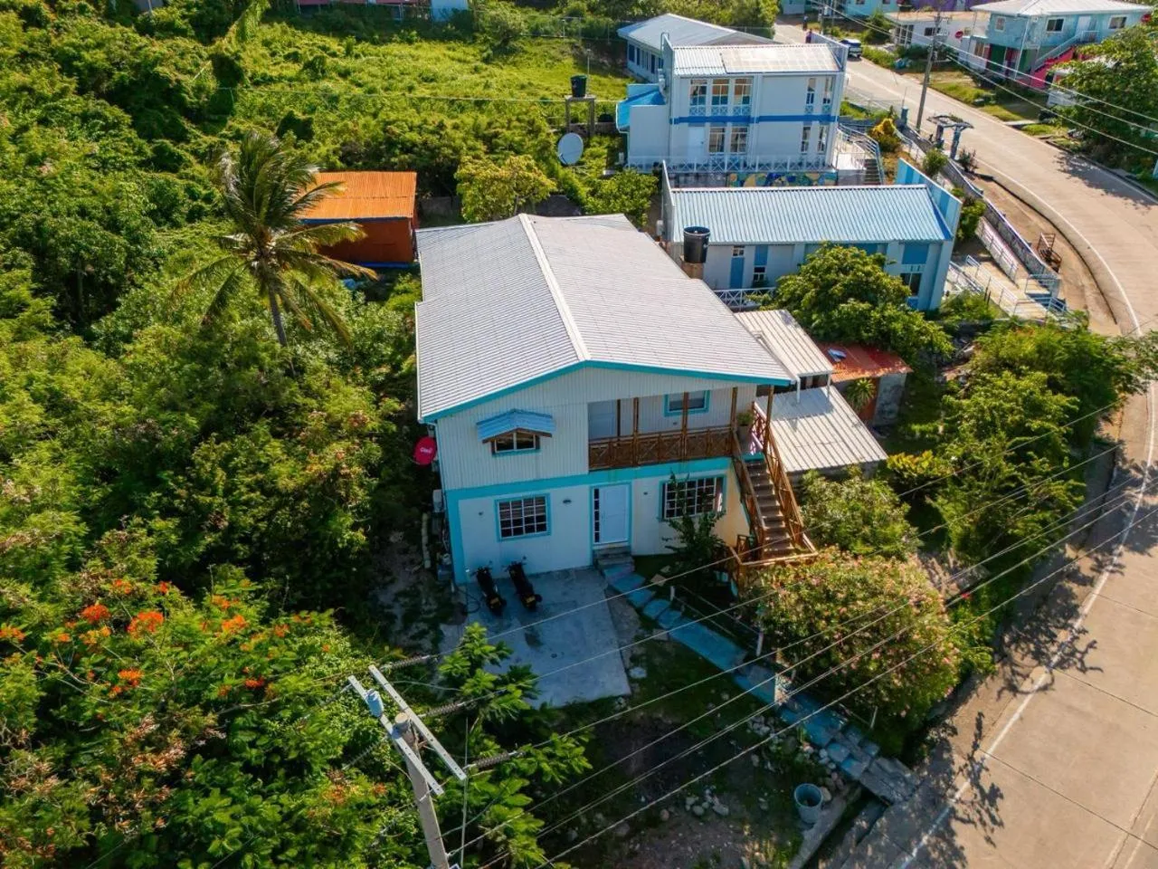 Colorful Garden House