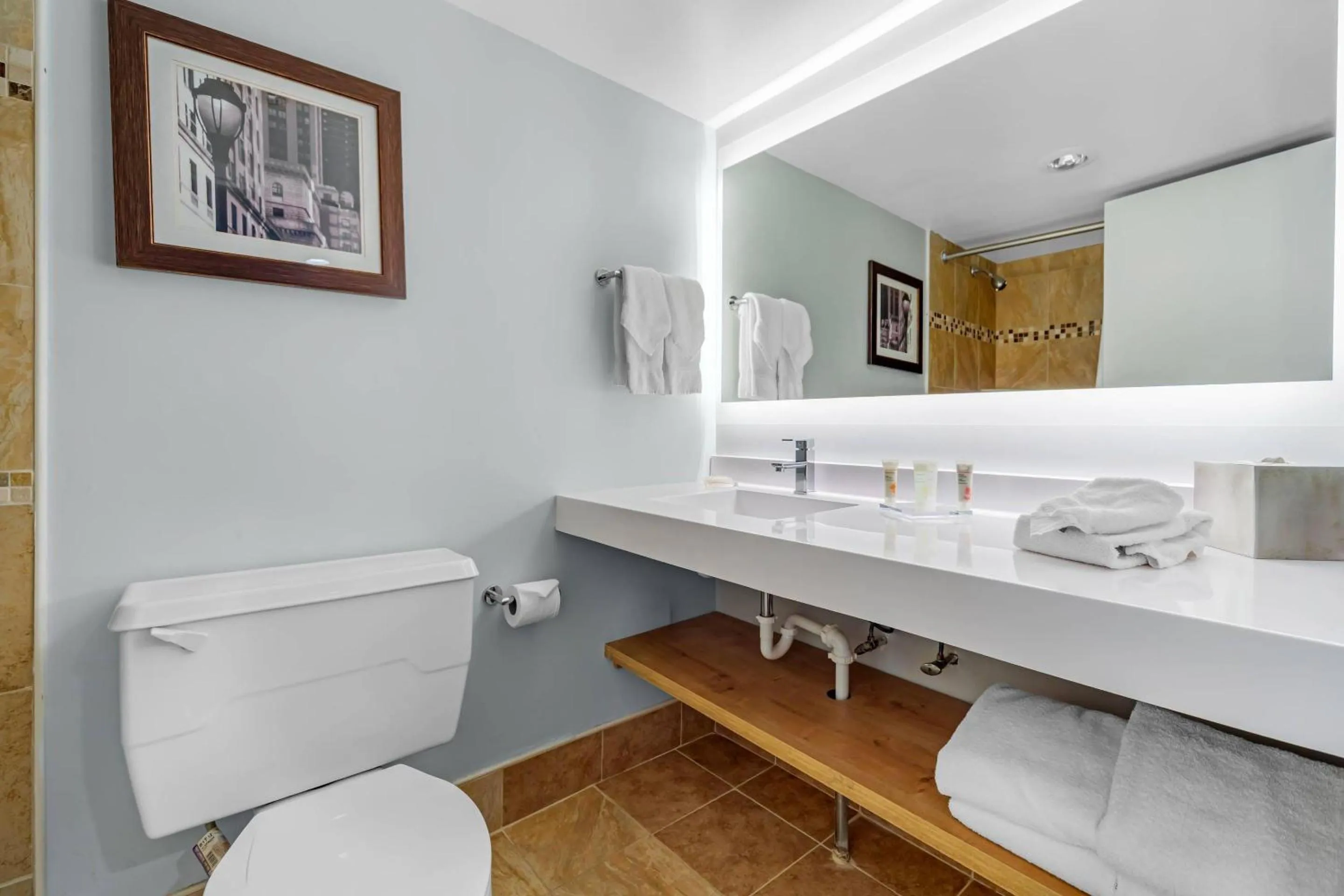 Bathroom in Radisson Hotel Philadelphia Northeast