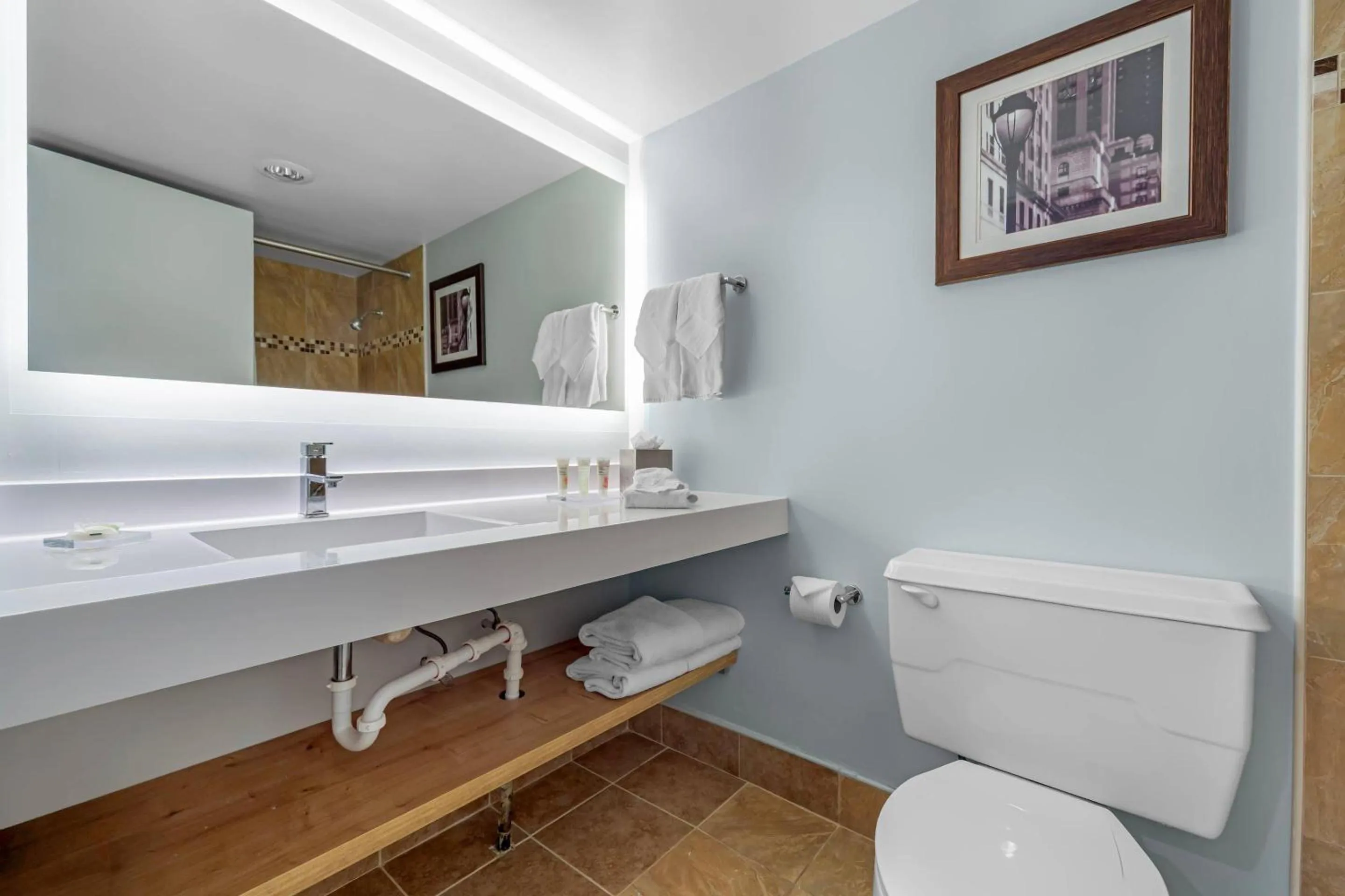 Bathroom in Radisson Hotel Philadelphia Northeast