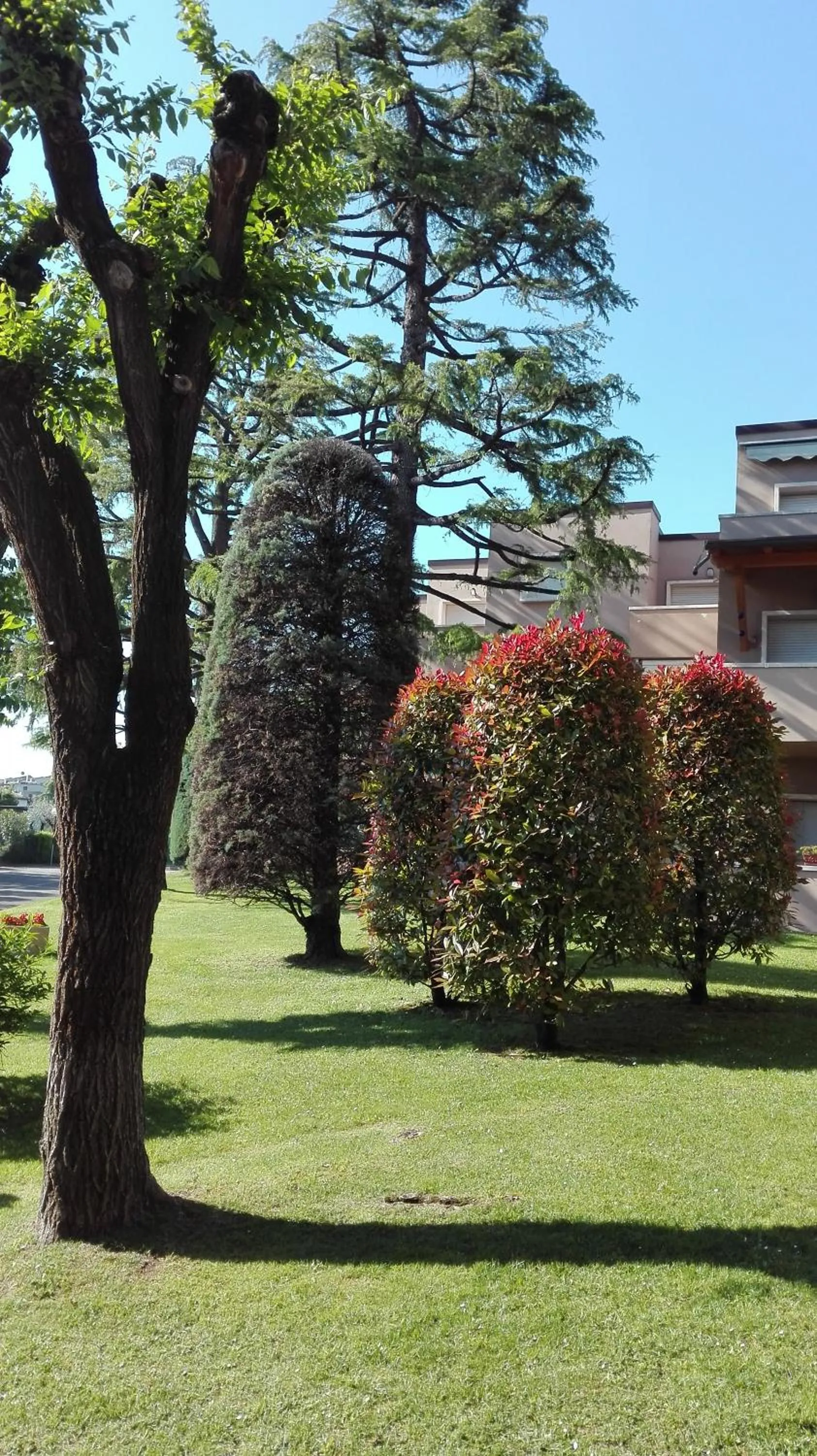 Garden in Residence La Madonnina