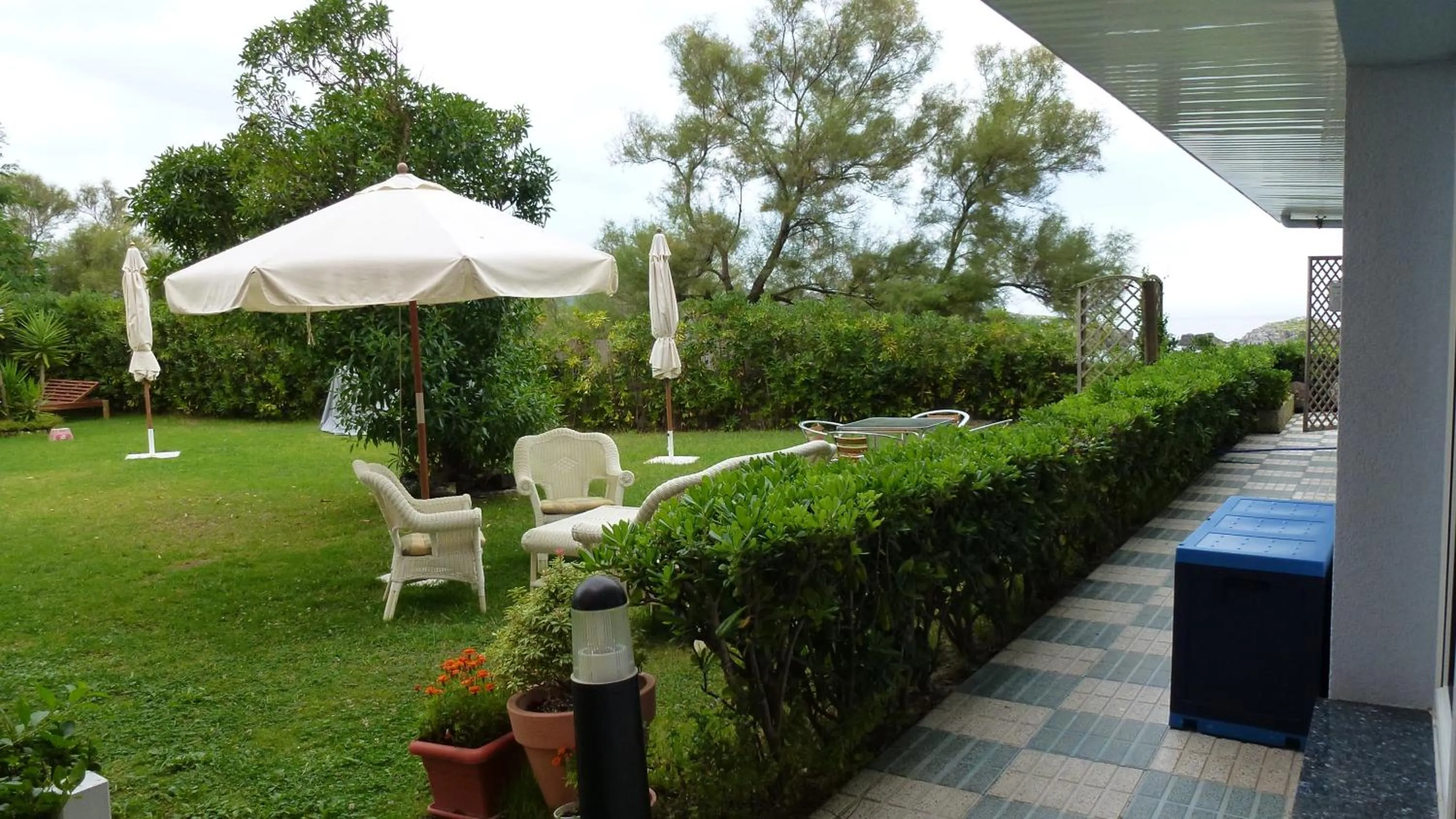 Garden in Hotel Pineda Playa