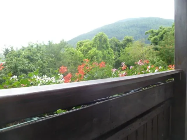 View (from property/room) in Albergo Negritella