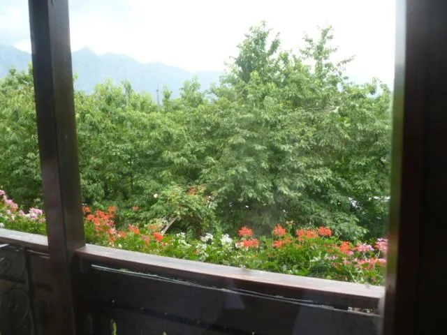 View (from property/room) in Albergo Negritella