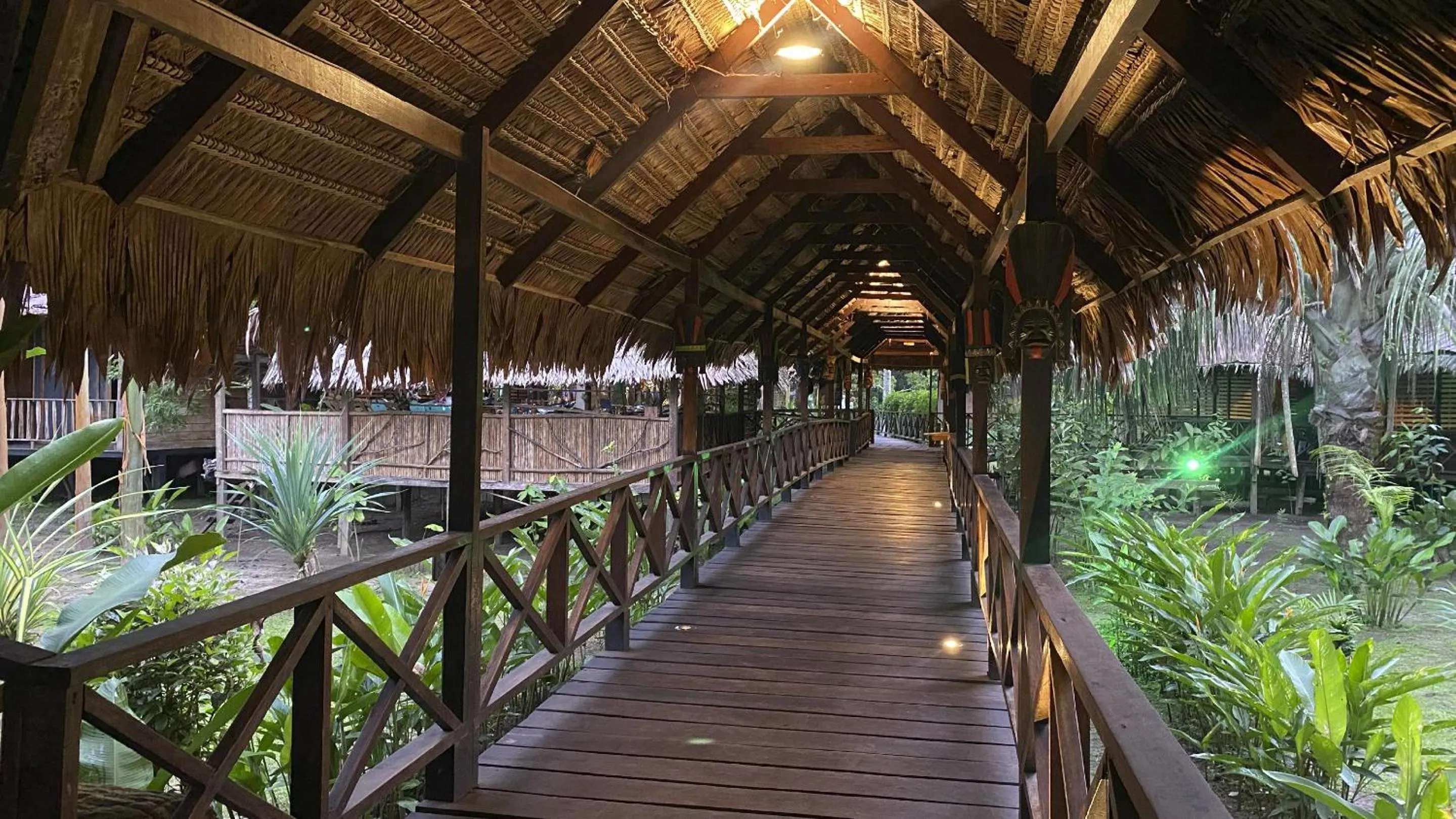 Natural landscape in Hotel Amazon by On Vacation