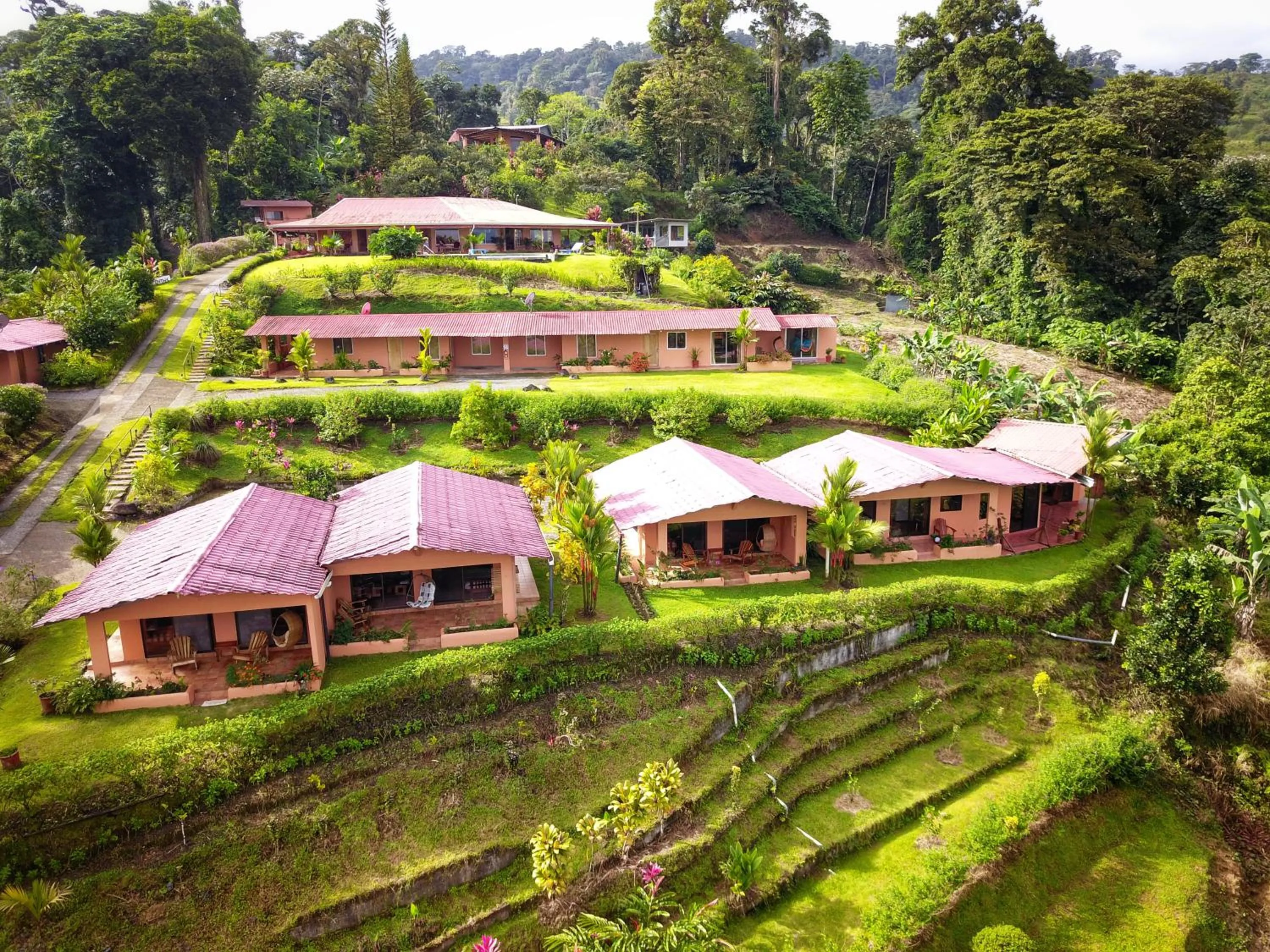 Property building in Hotel Nepenthe B&B