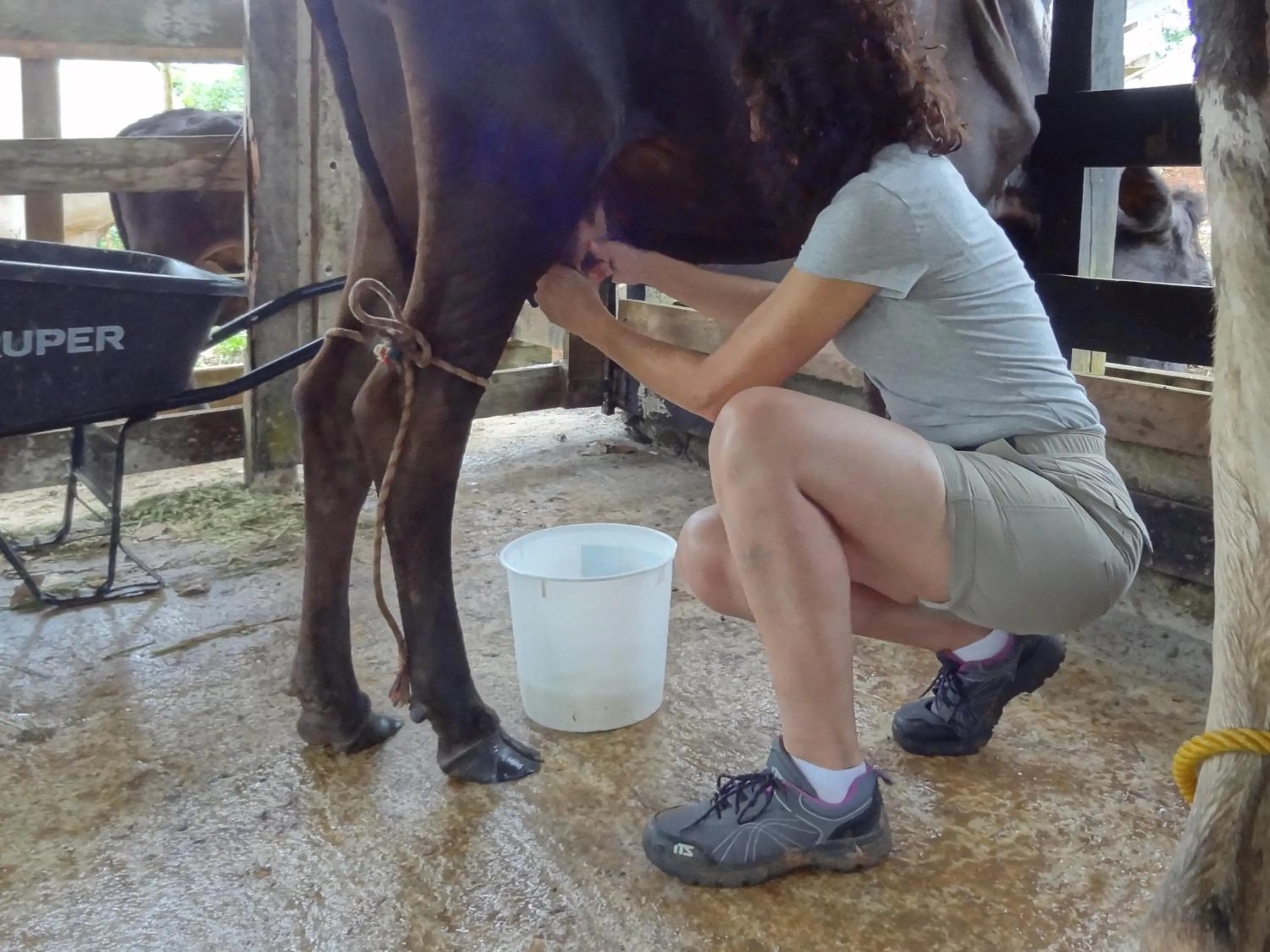 People in Hotel Rio Celeste Finca L´ Etoile Celeste