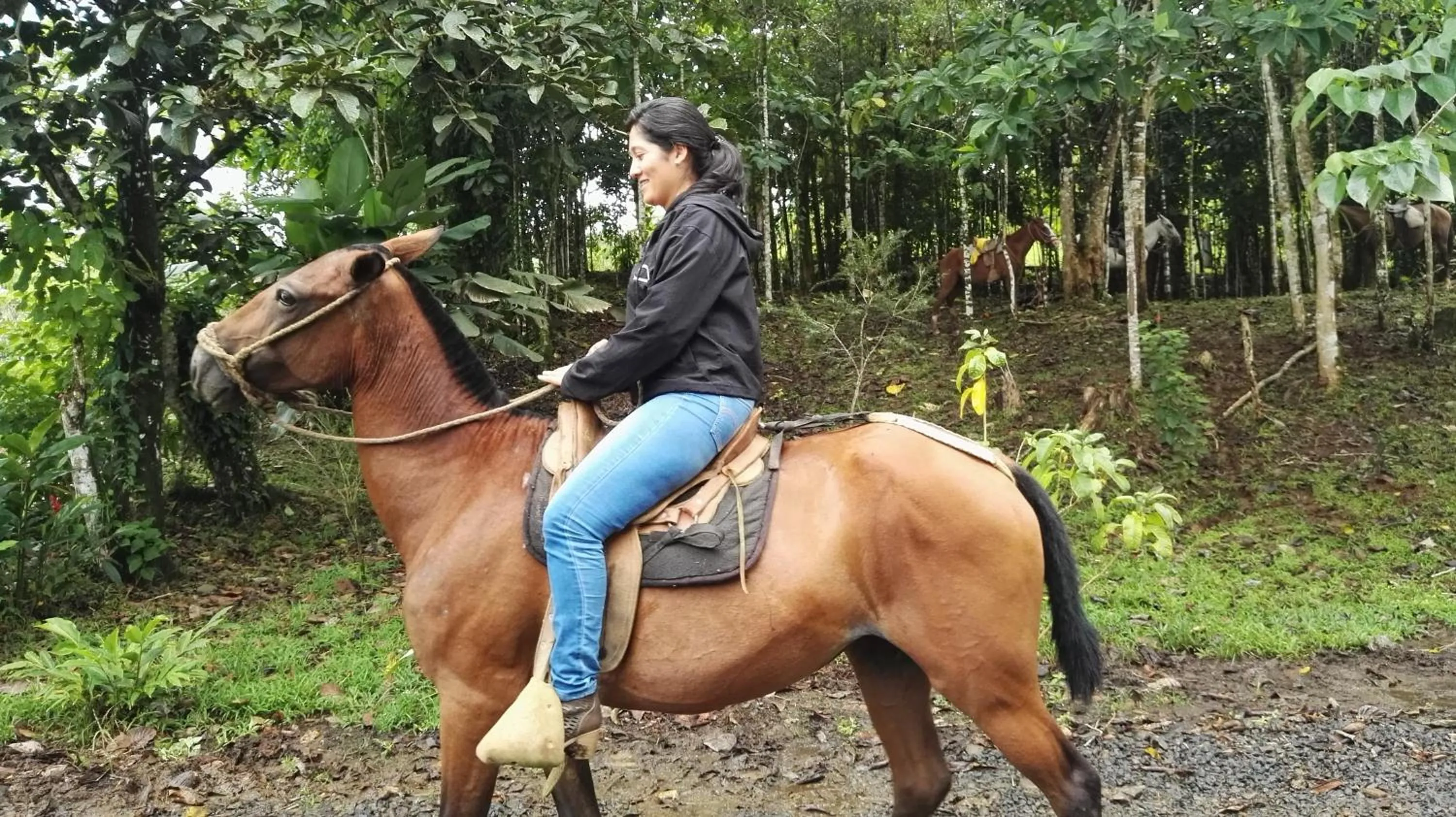 Horse-riding in Hotel Rio Celeste Finca L´ Etoile Celeste
