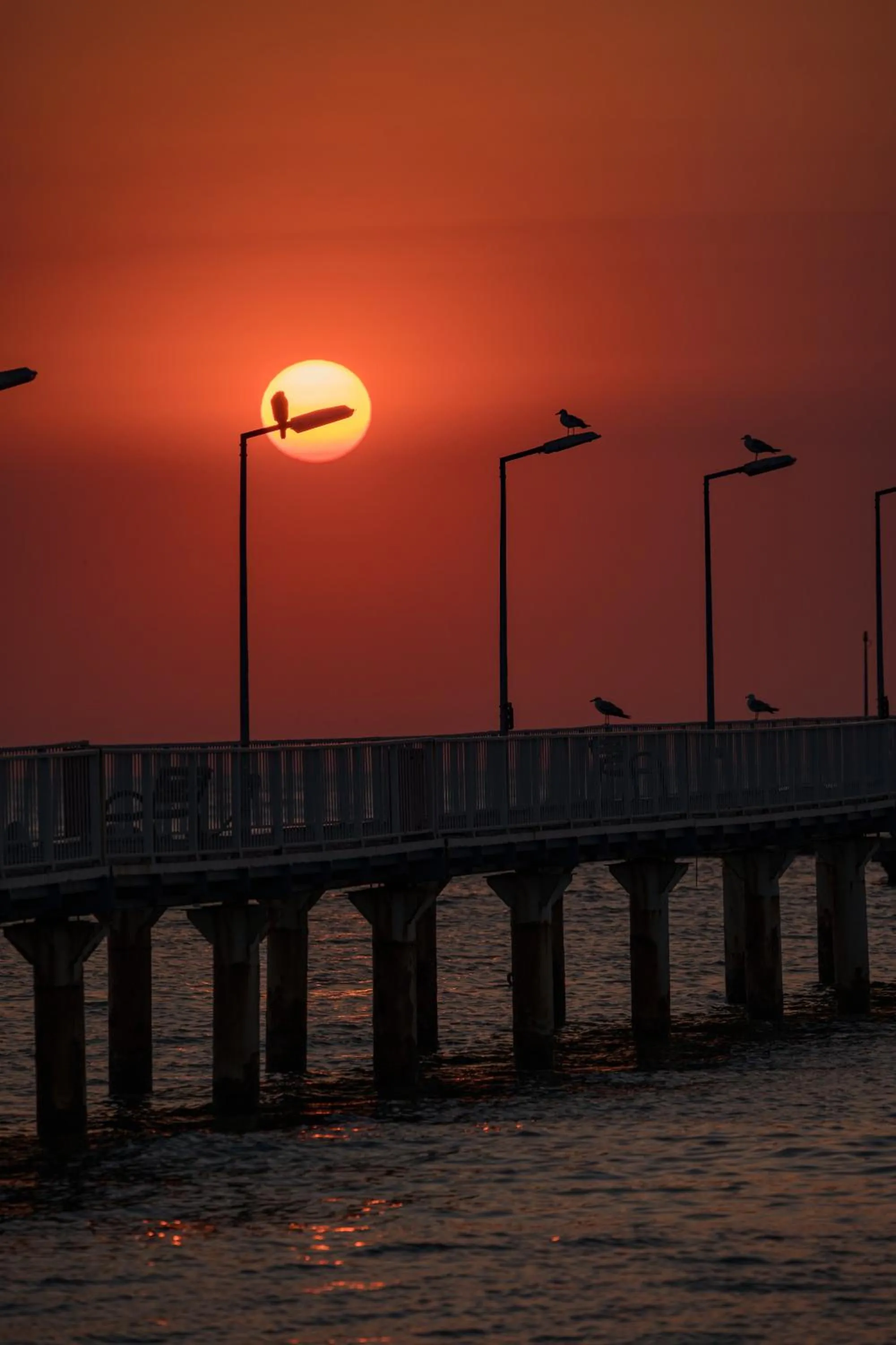 Natural landscape in Riva Mamaia Beach Apart Hotel