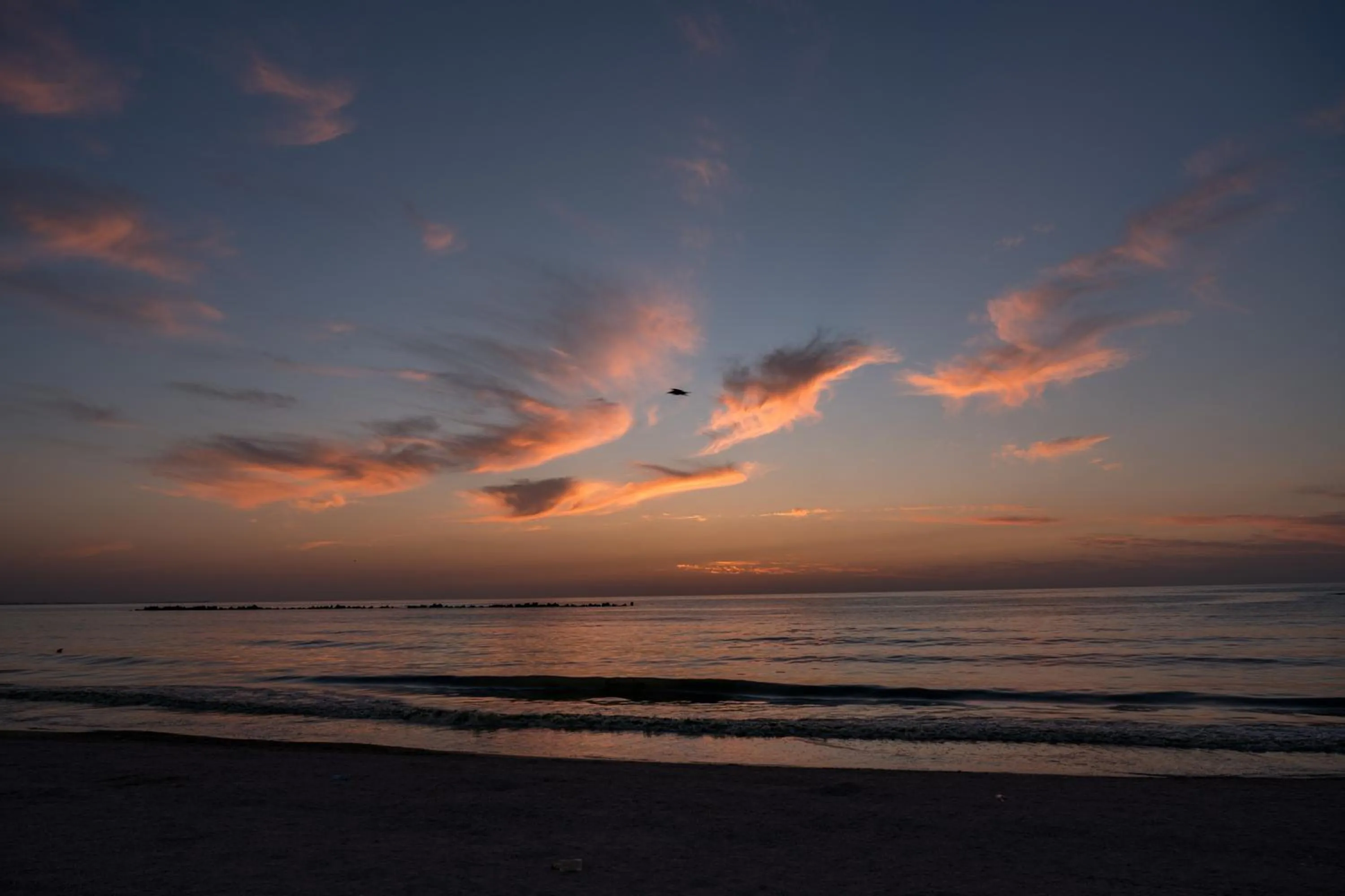 Natural landscape in Riva Mamaia Beach Apart Hotel