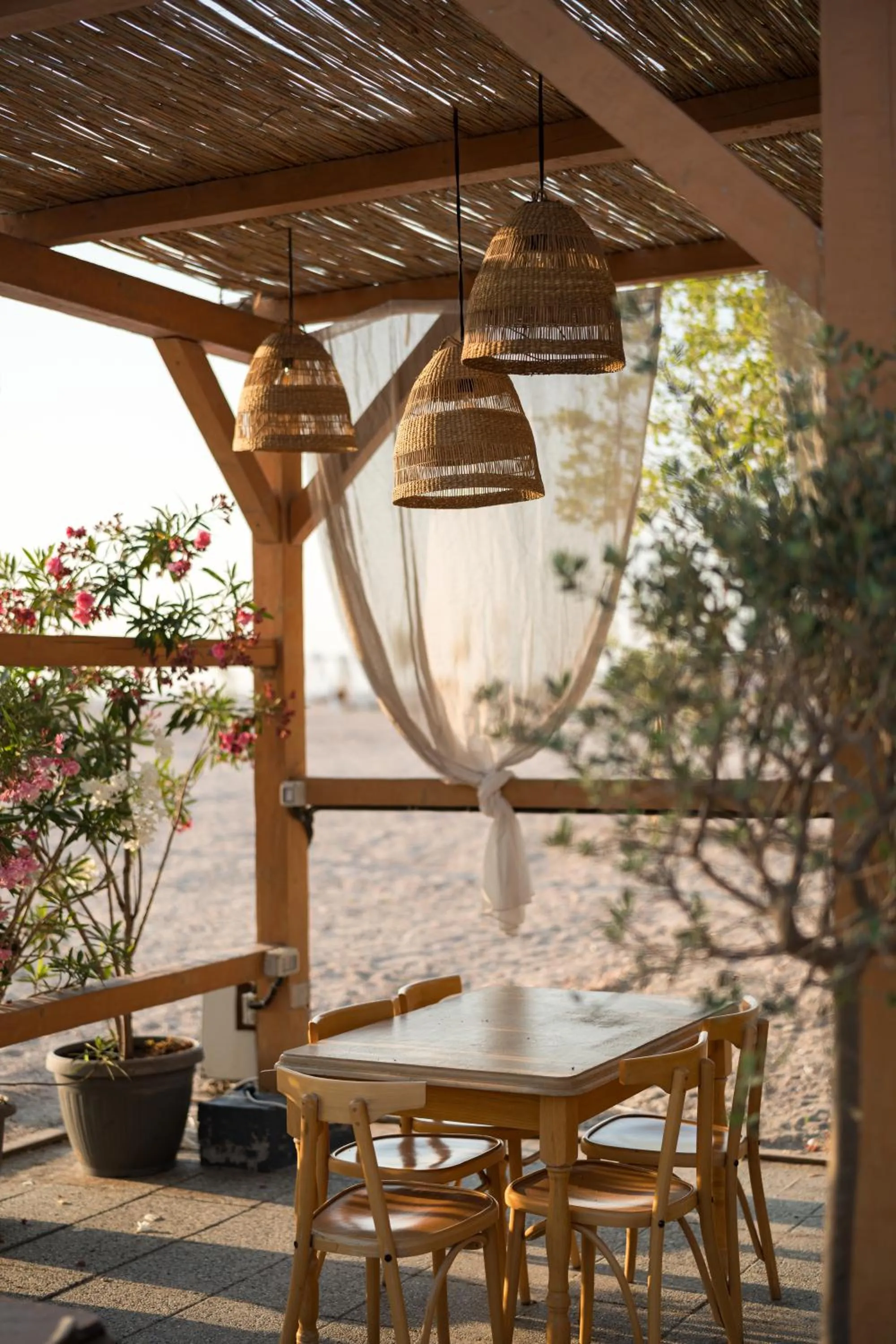 Restaurant/places to eat in Riva Mamaia Beach Apart Hotel