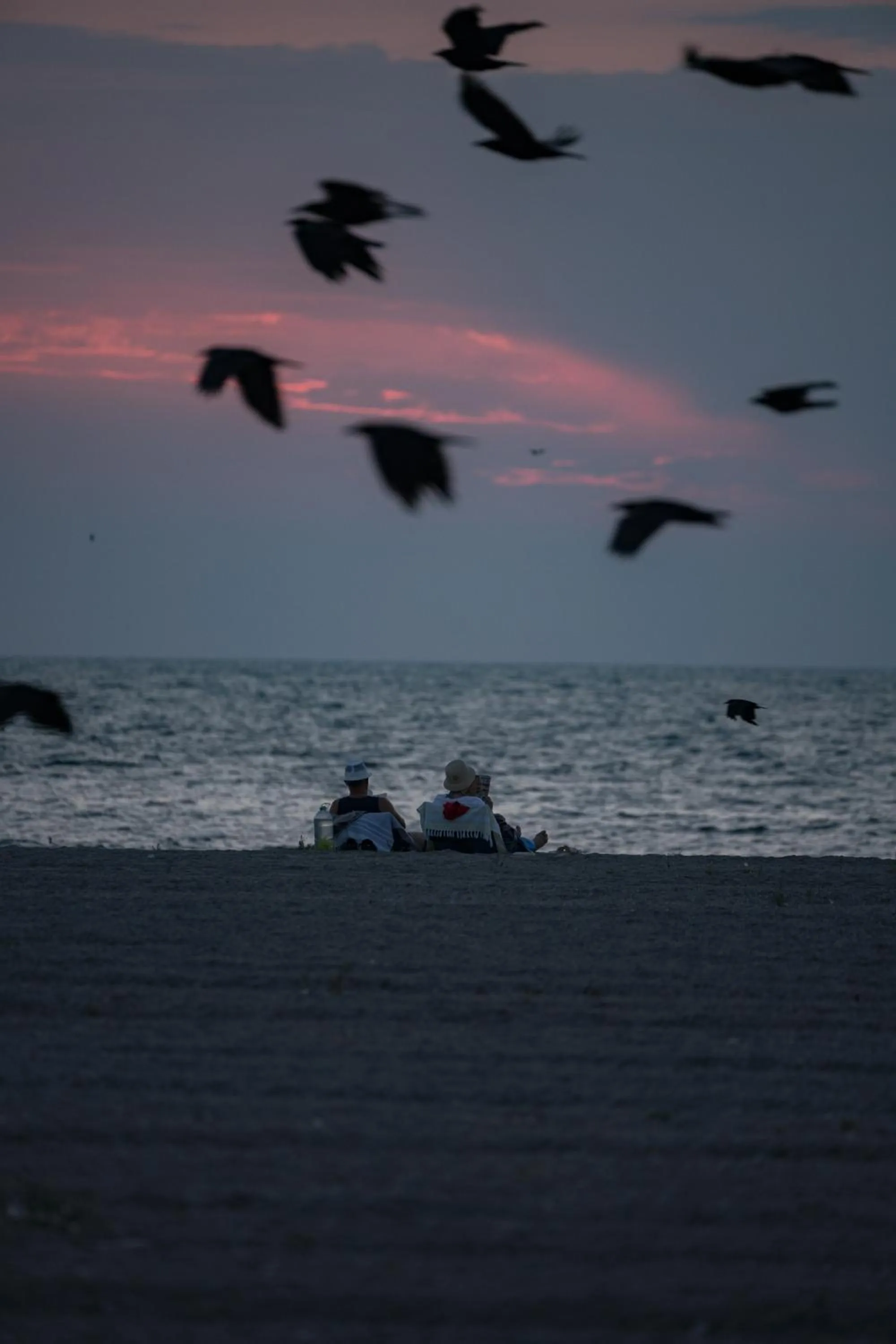 Natural landscape in Riva Mamaia Beach Apart Hotel