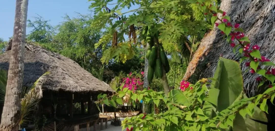 Furaha Lodge