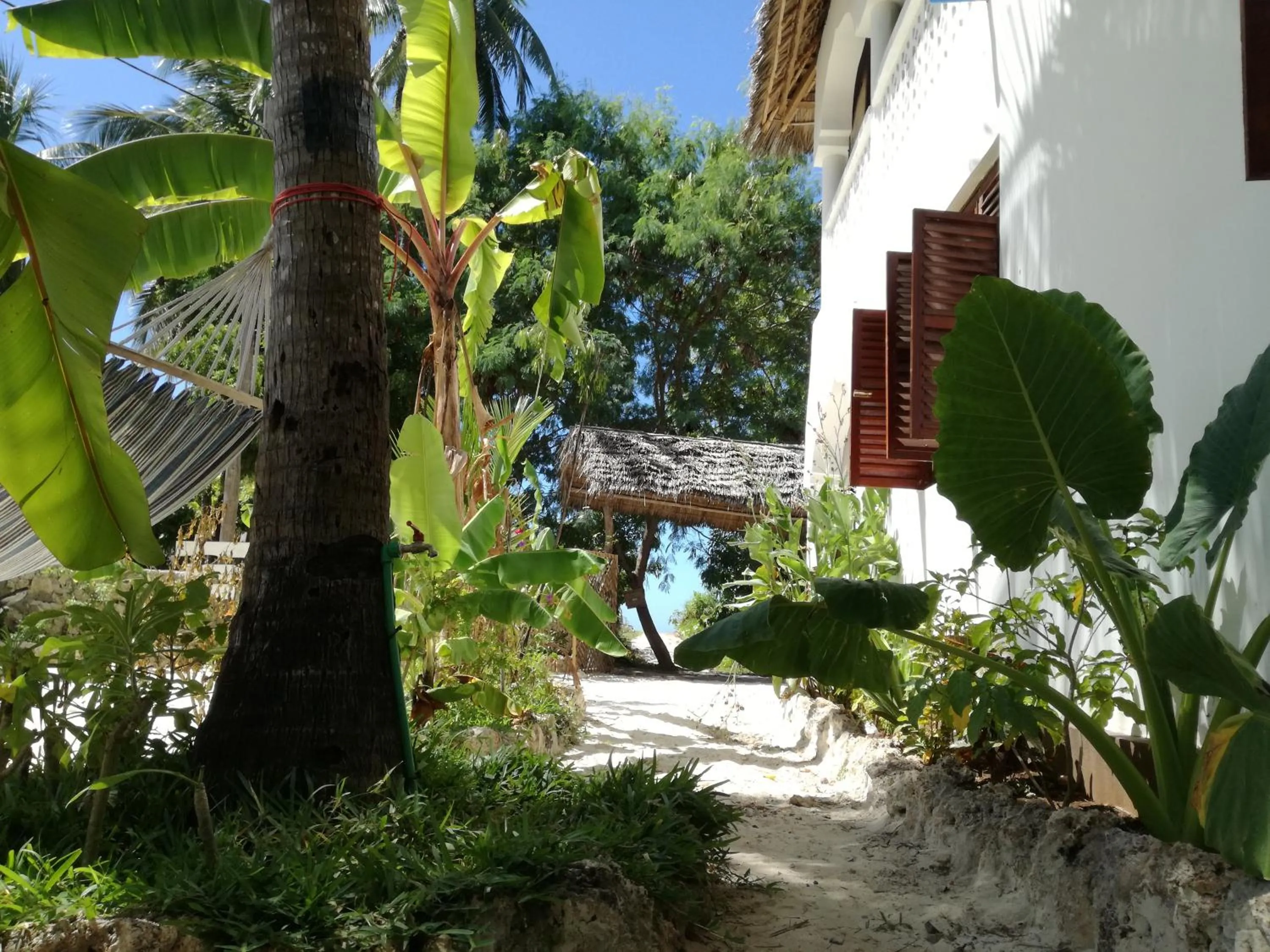 Garden in Furaha Lodge