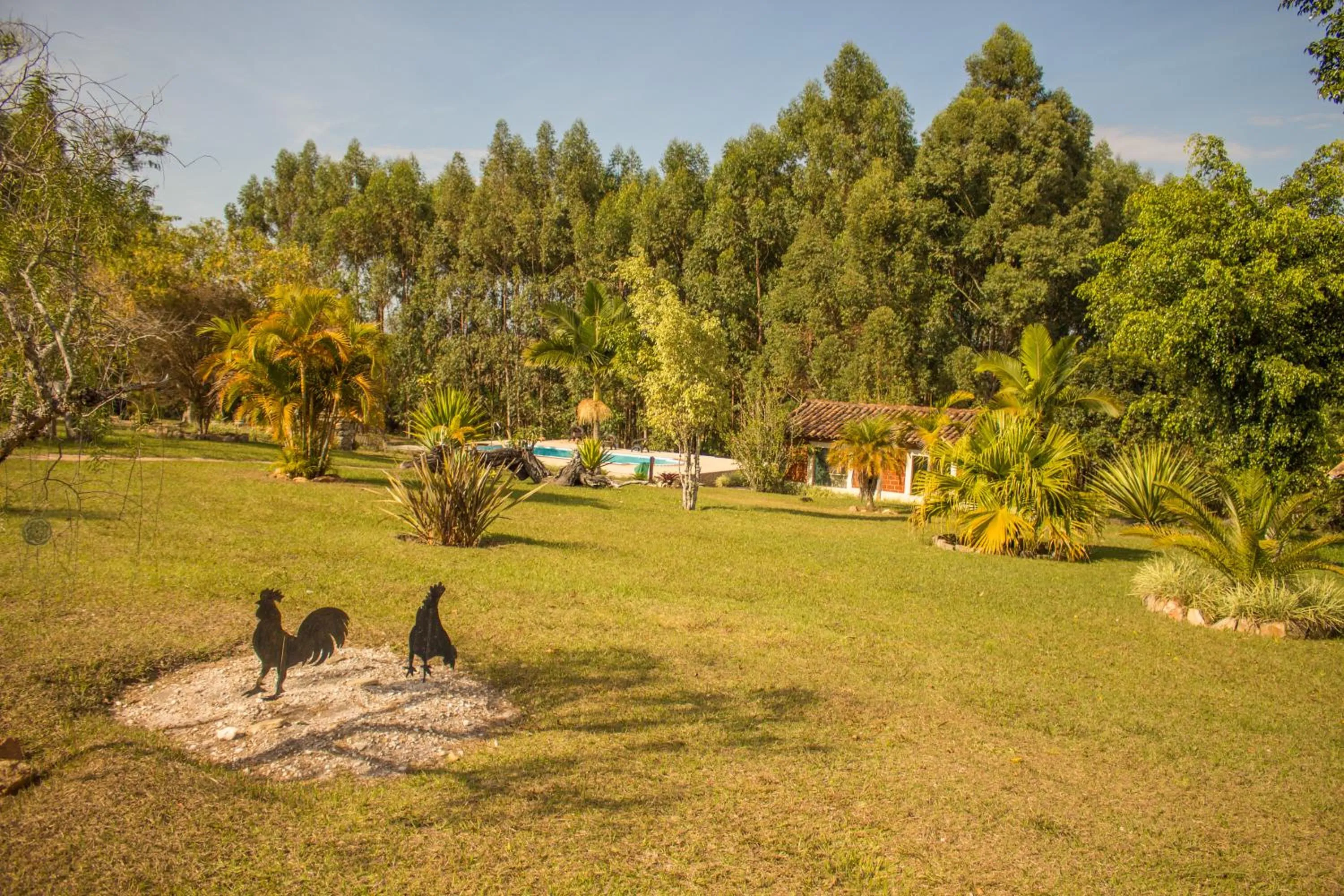 Garden in Verdes Em Cantos Pousada
