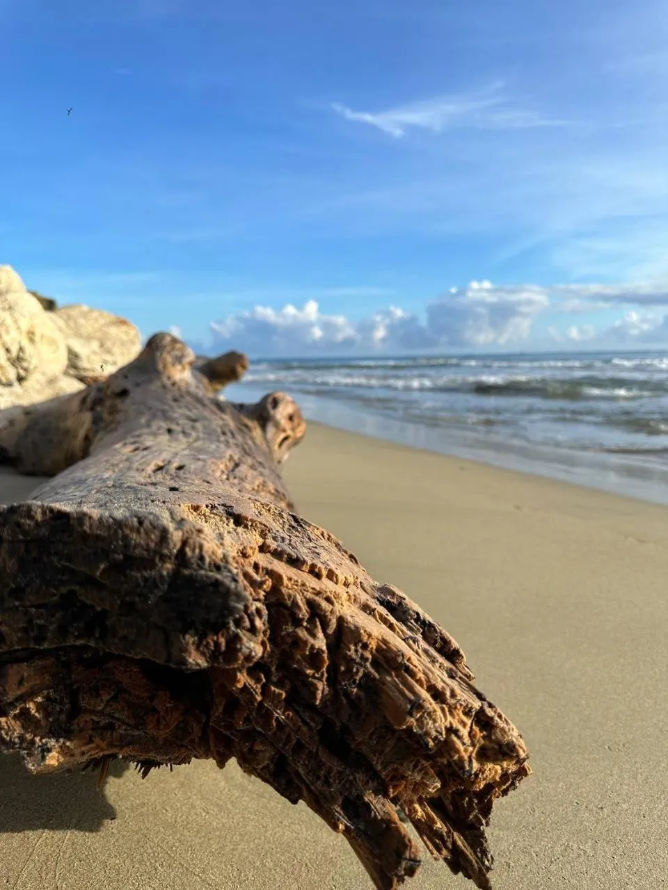 Beach in Bahia Residence Cabarete