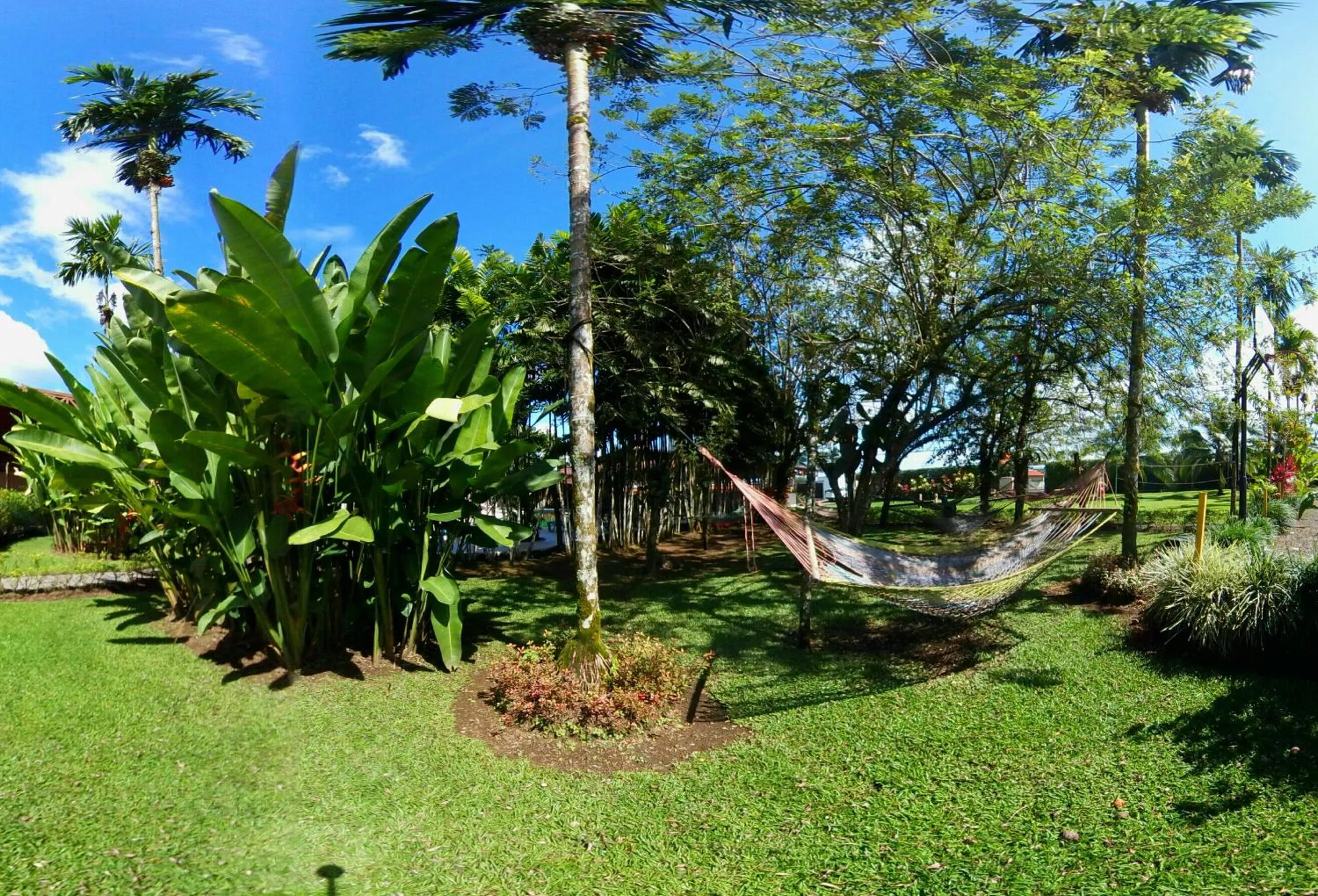 Garden in Arenal Backpackers Resort