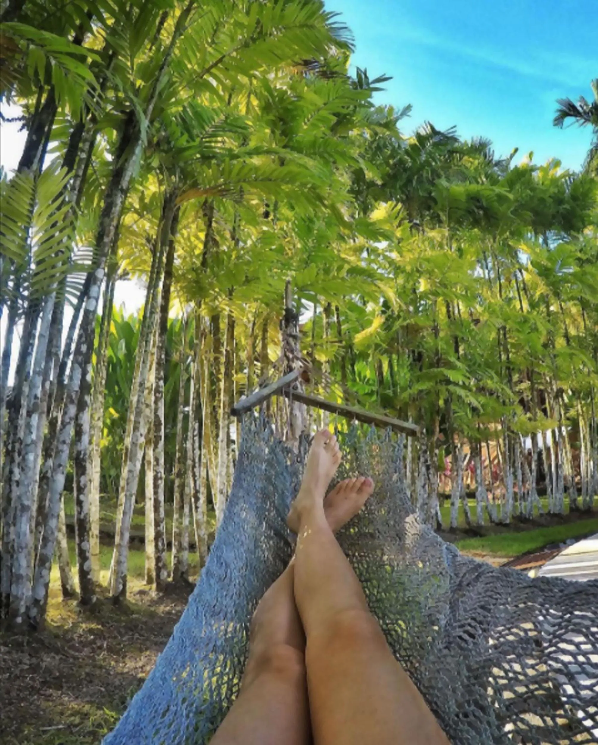 Nearby landmark in Arenal Backpackers Resort