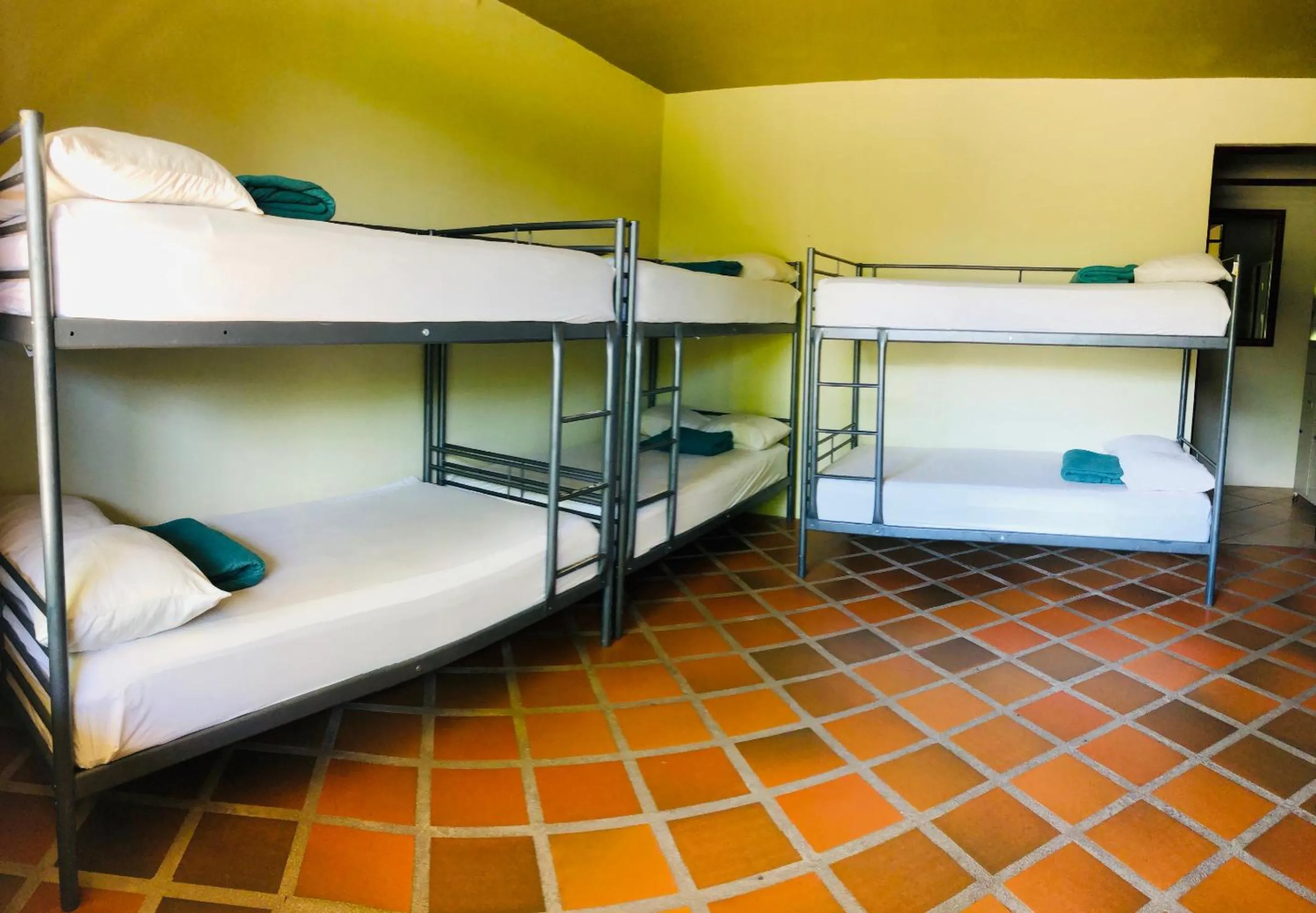 bunk bed, Bed in Arenal Backpackers Resort