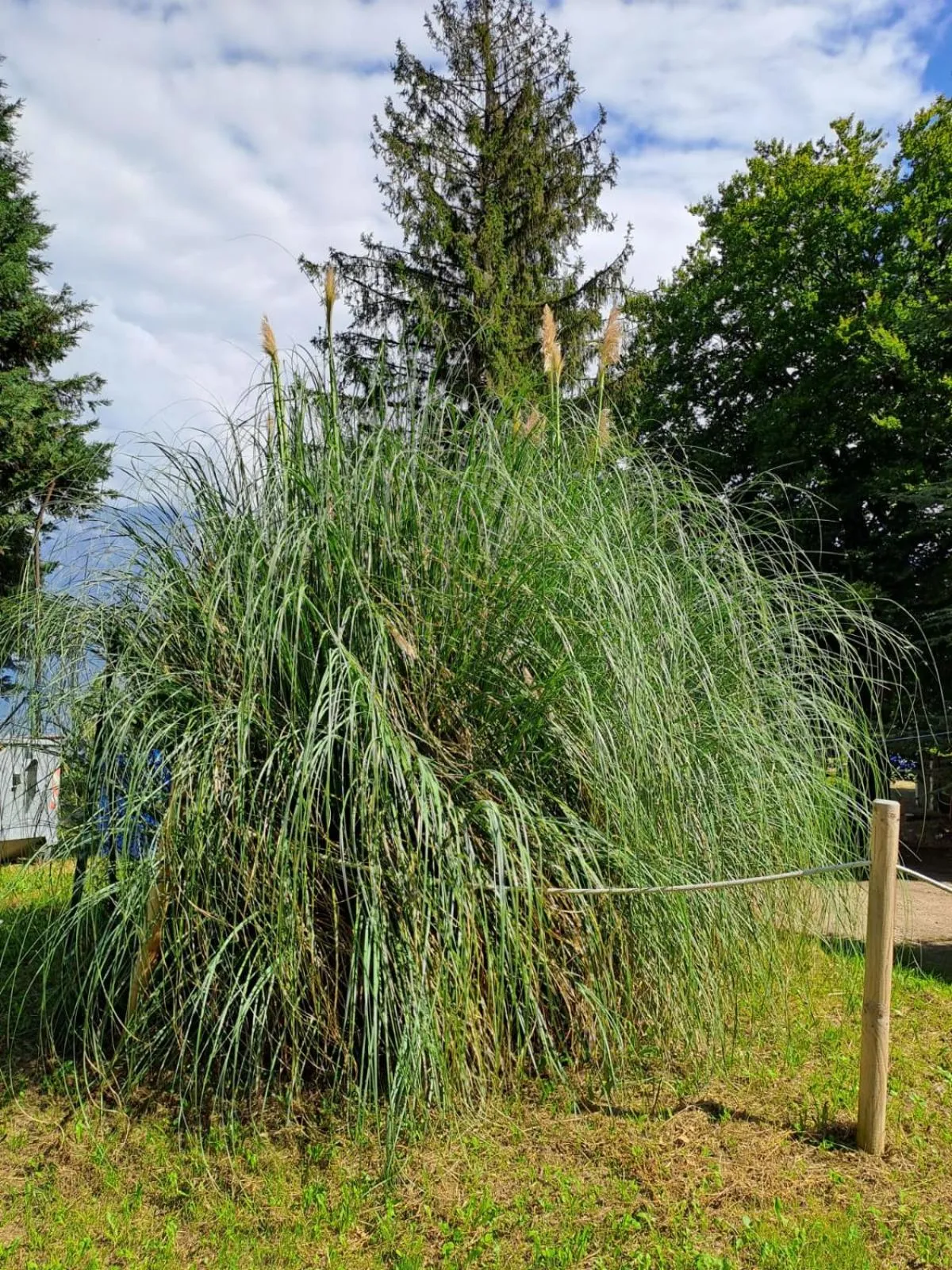 Day in Bed & Breakfast Bellagio