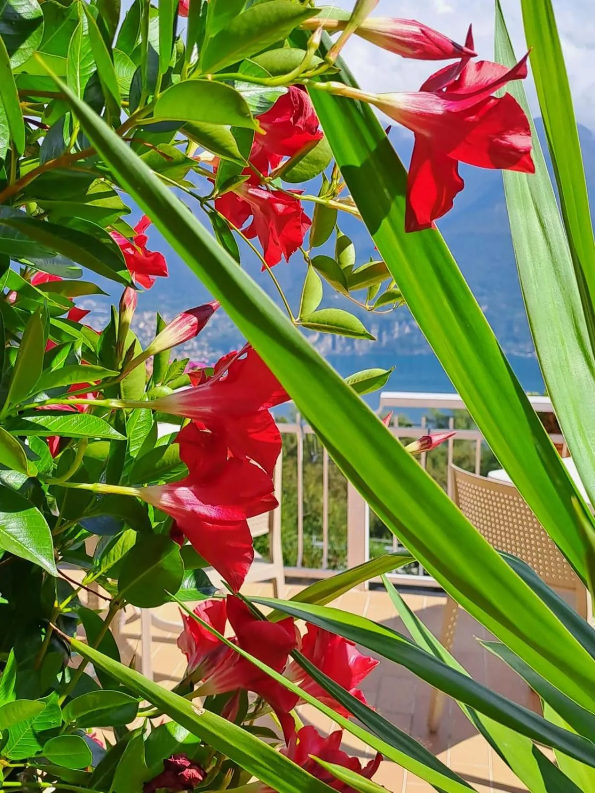 Bed & Breakfast Bellagio