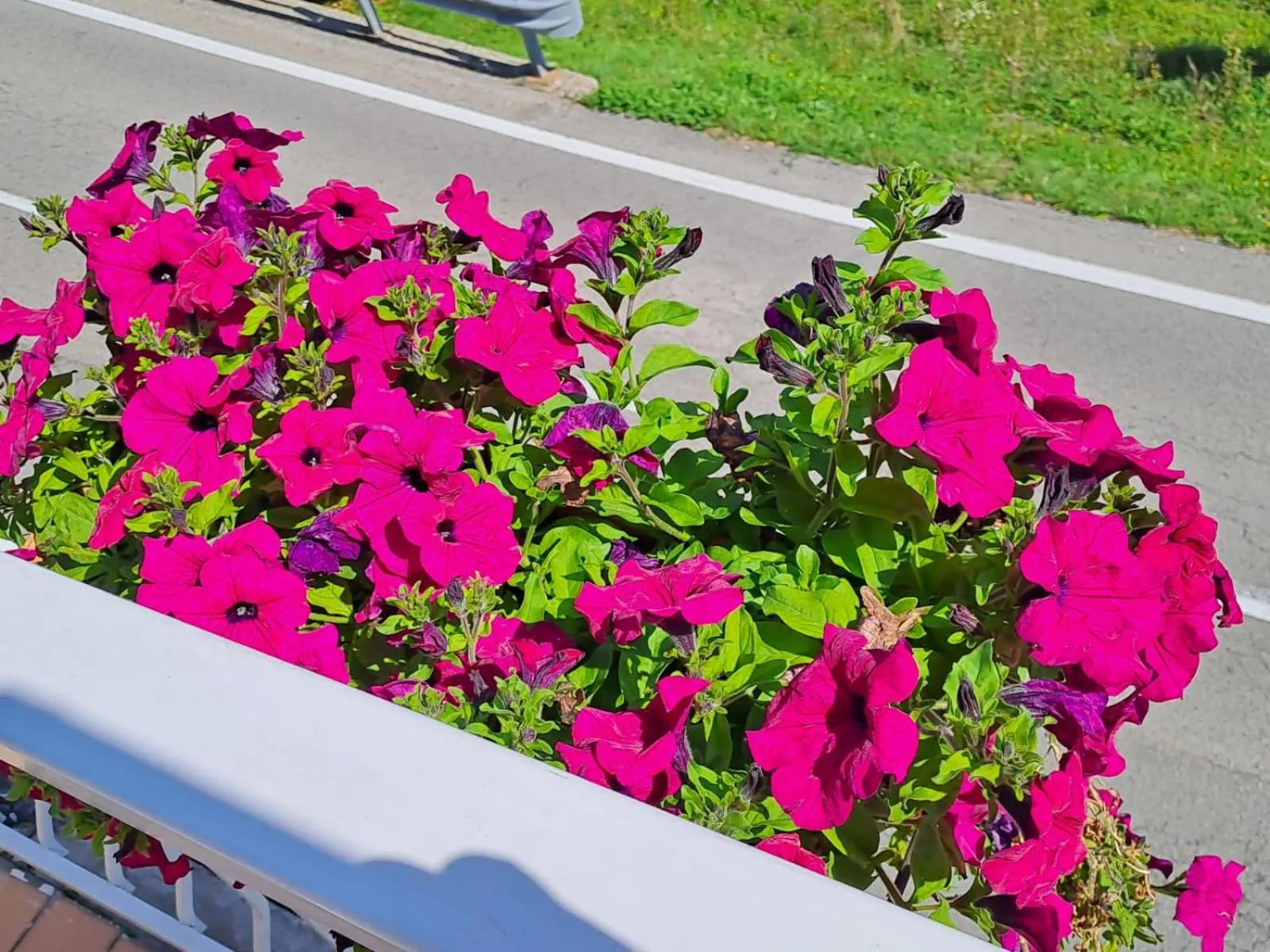 Bed & Breakfast Bellagio