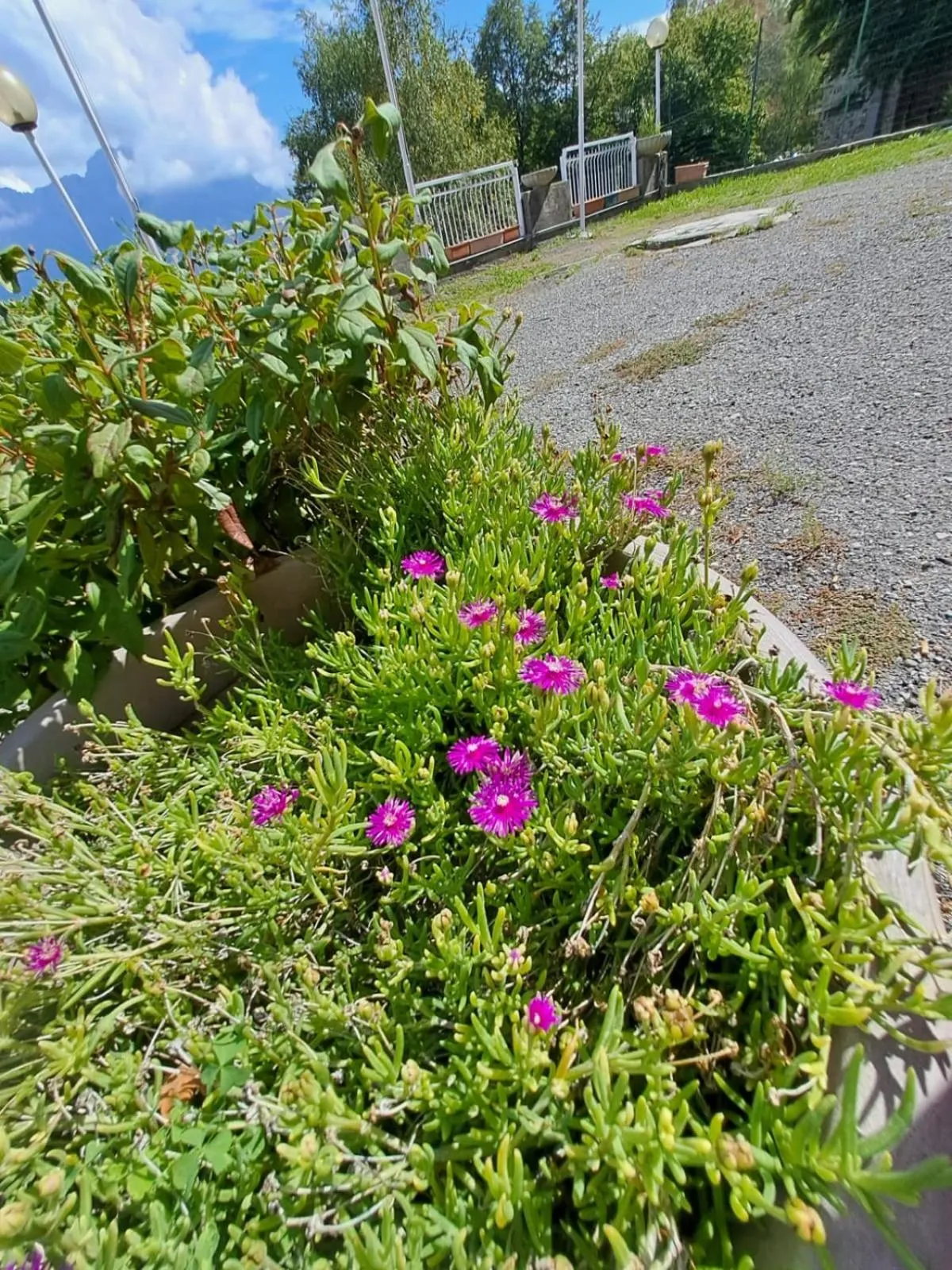 Property building in Bed & Breakfast Bellagio