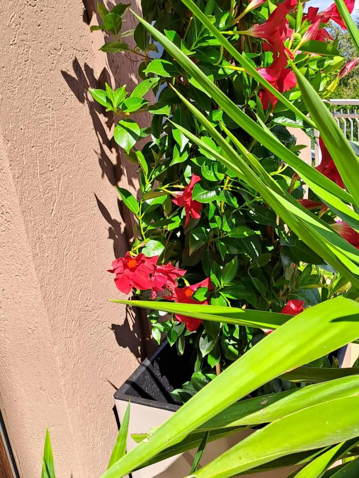 Bed & Breakfast Bellagio